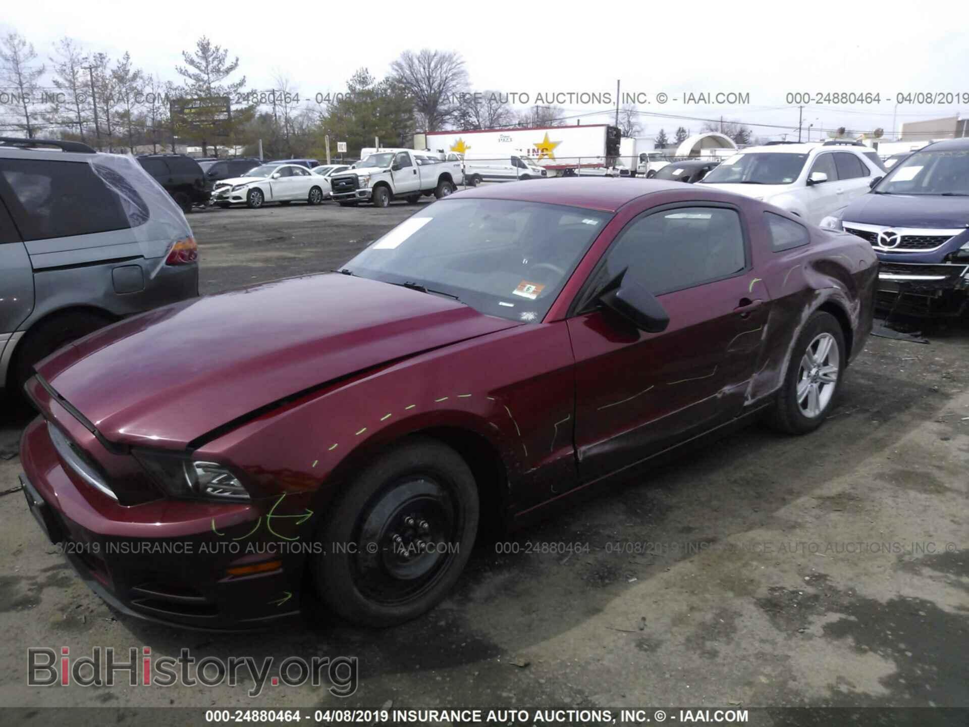 2014 FORD MUSTANG - VIN: 1ZVBP8AM9E5214156 - Фото 2