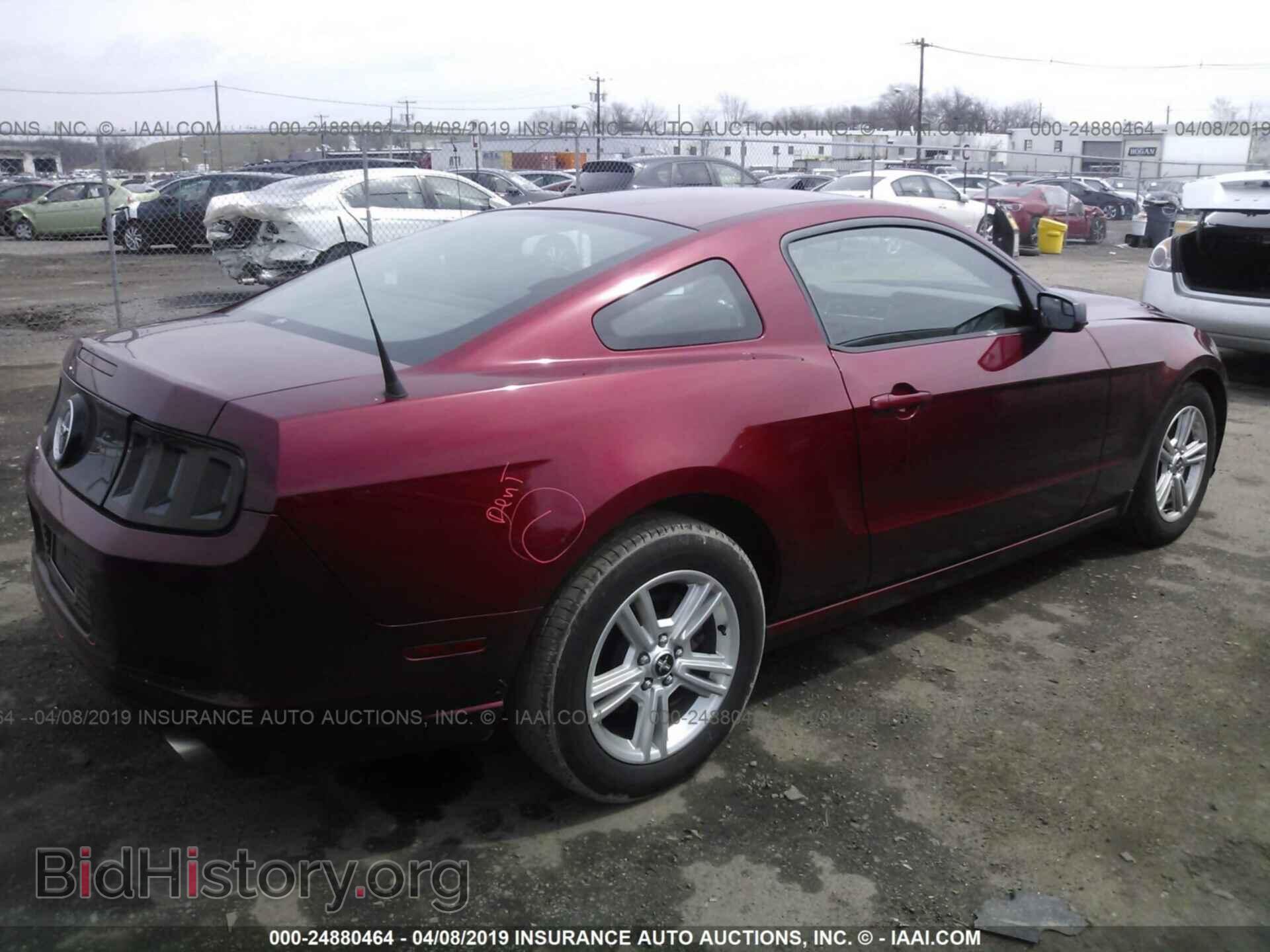 2014 FORD MUSTANG - VIN: 1ZVBP8AM9E5214156 - Фото 4