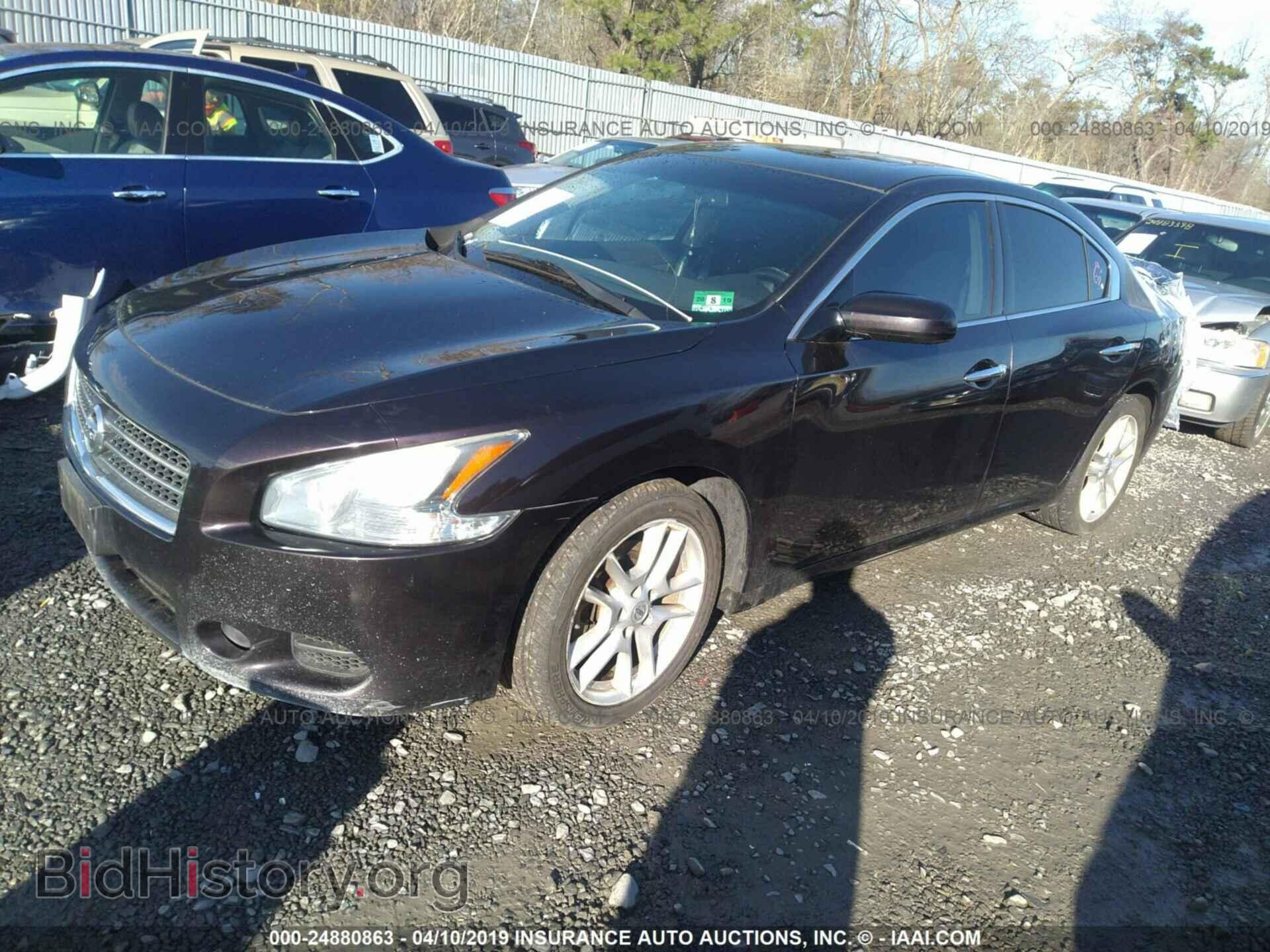 2010 NISSAN MAXIMA - VIN: 1N4AA5AP6AC822835 - Фото 2