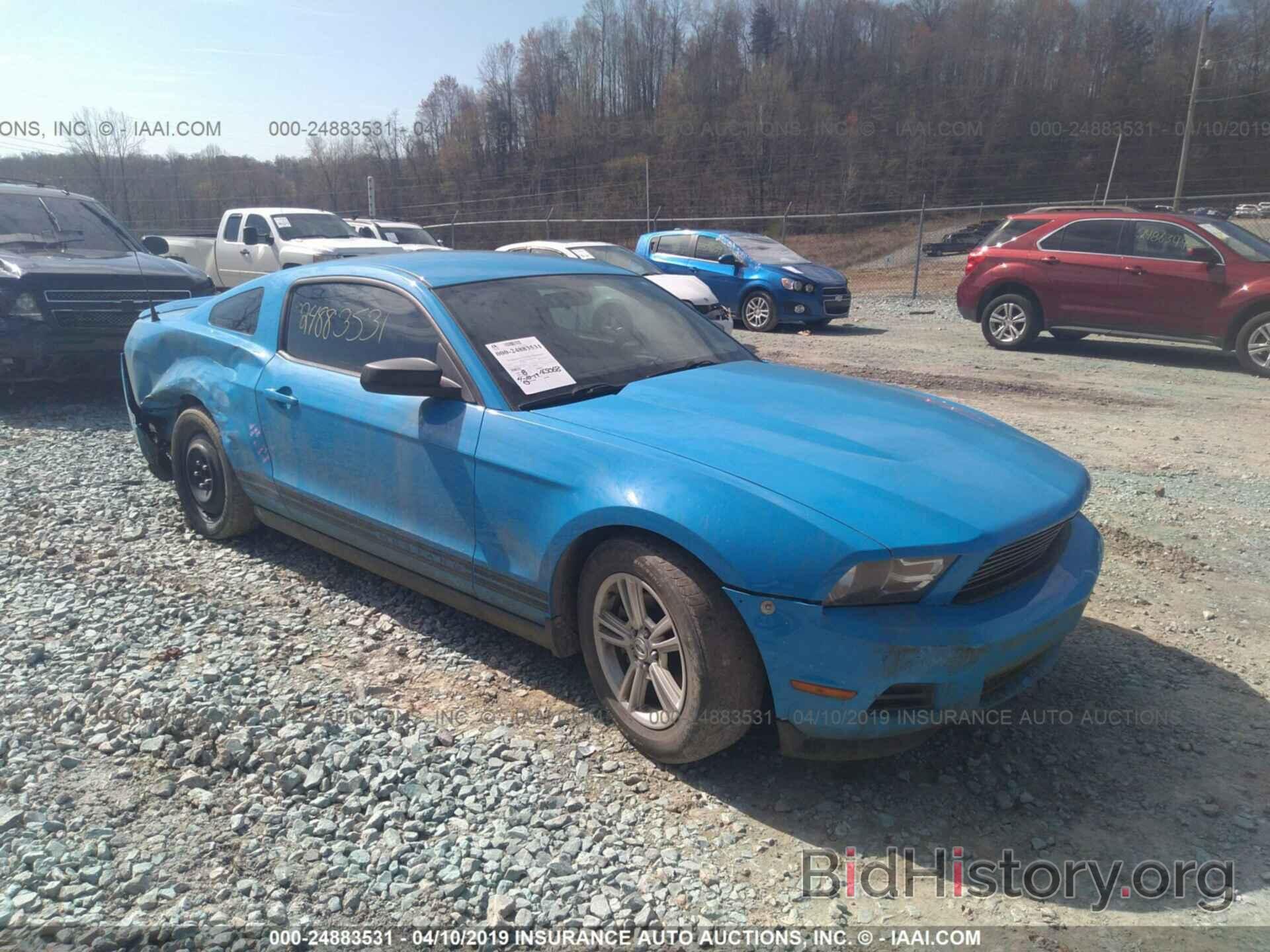 Photo 1ZVBP8AM2C5283316 - FORD MUSTANG 2012