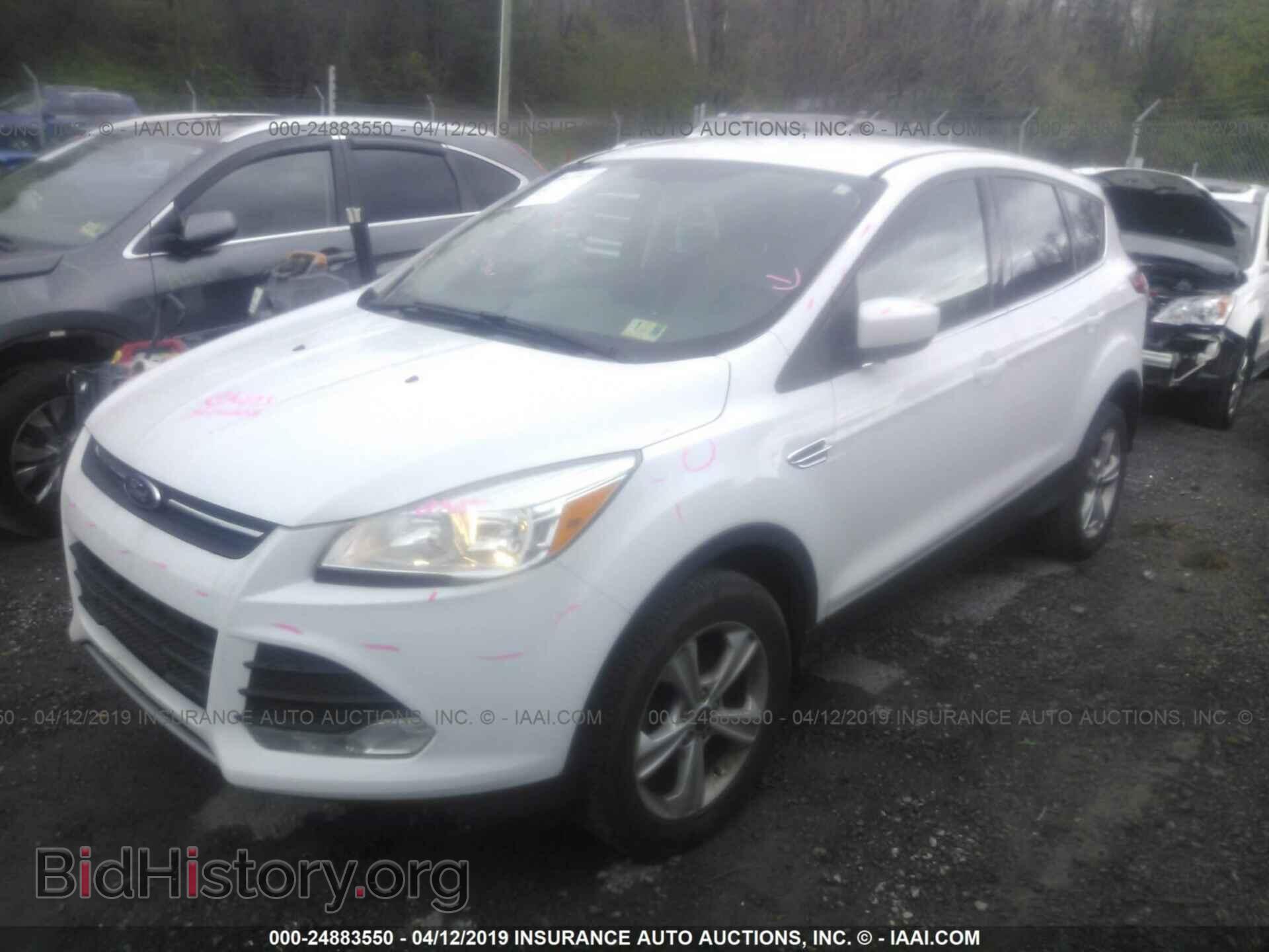 2013 FORD ESCAPE - VIN: 1FMCU0GX0DUA74100 - Фото 2