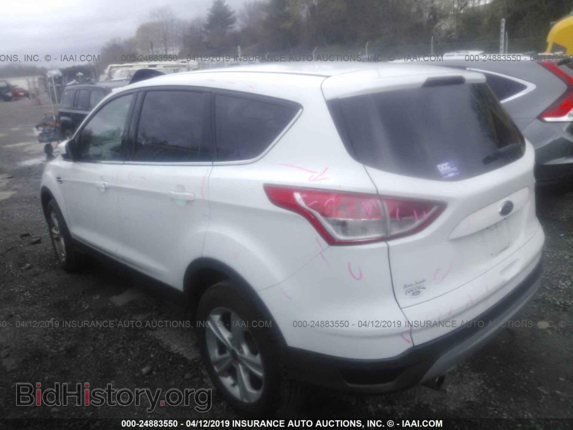 2013 FORD ESCAPE - VIN: 1FMCU0GX0DUA74100 - Фото 3