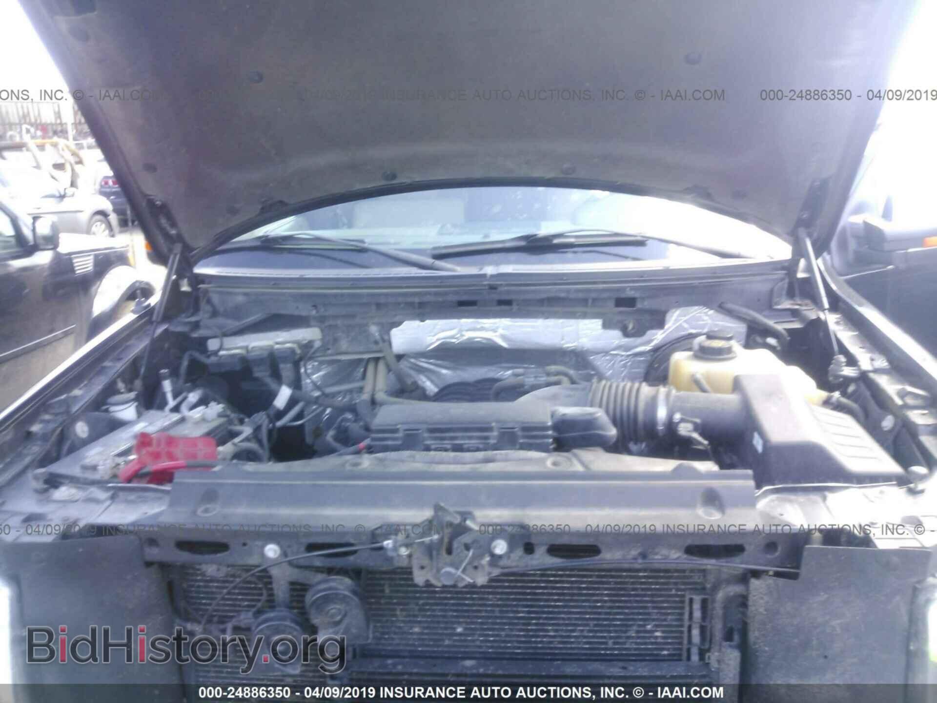 2013 FORD F150 - VIN: 1FTFW1CF3DFB08484 - Фото 10