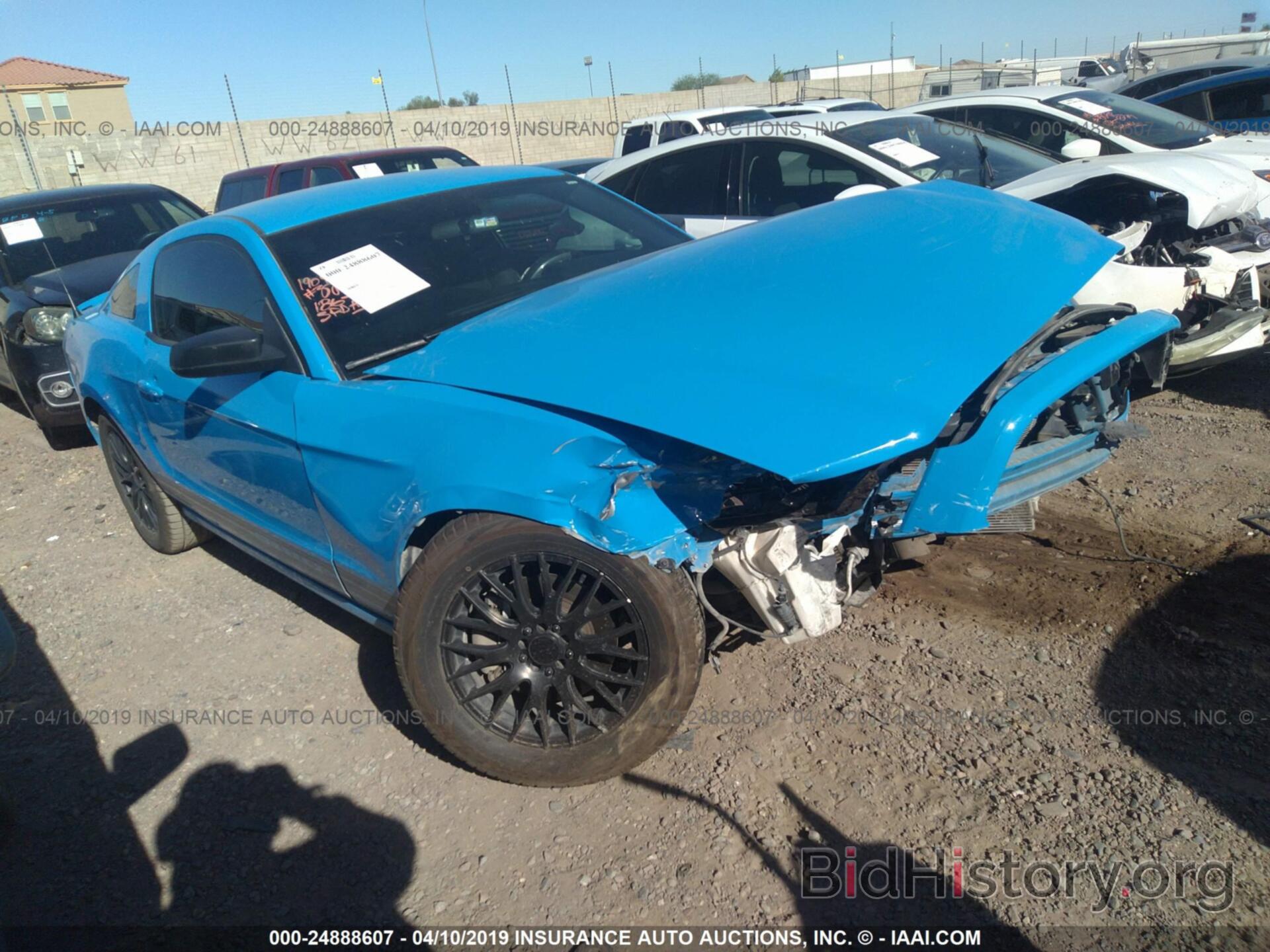 Photo 1ZVBP8AM2D5248096 - FORD MUSTANG 2013