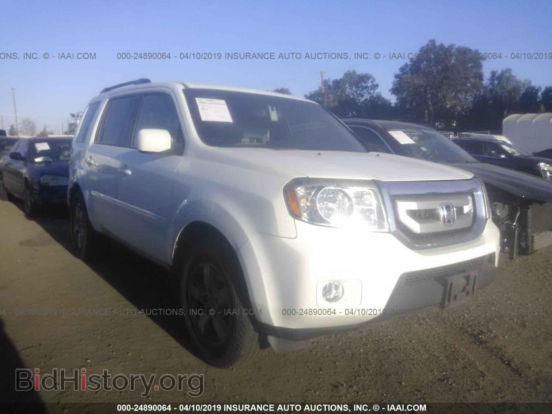 Фотография 5FNYF3H71BB039043 - HONDA PILOT 2011