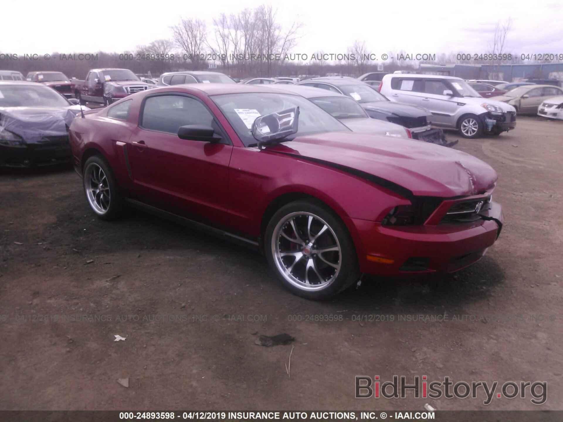 Photo 1ZVBP8AM7C5214265 - FORD MUSTANG 2012