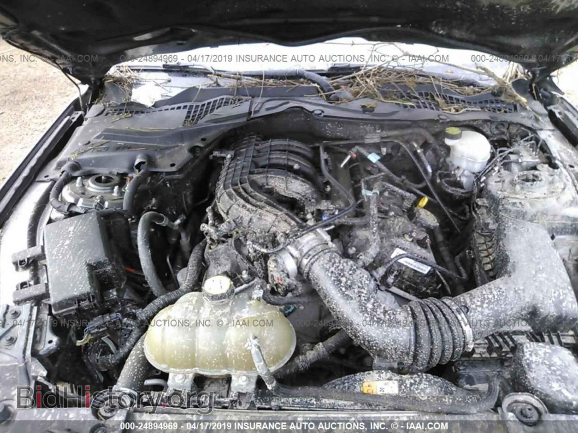 2015 FORD MUSTANG - VIN: 1FA6P8AM2F5394687 - Фото 10