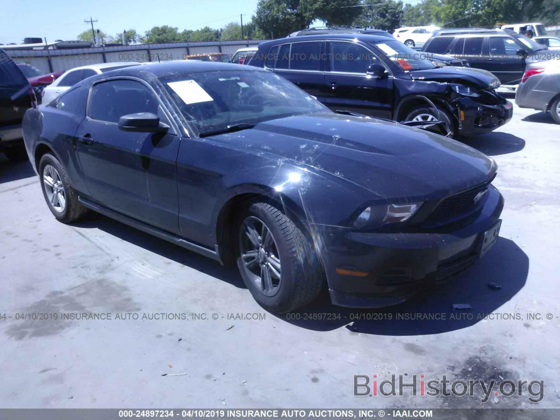 Photo 1ZVBP8AM3C5258781 - FORD MUSTANG 2012