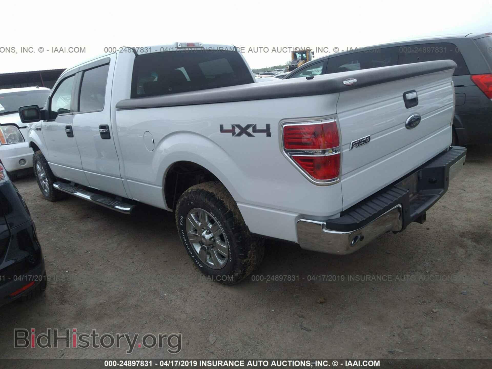 2009 FORD F150 - VIN: 1FTPW14V59FA68085 - Фото 3