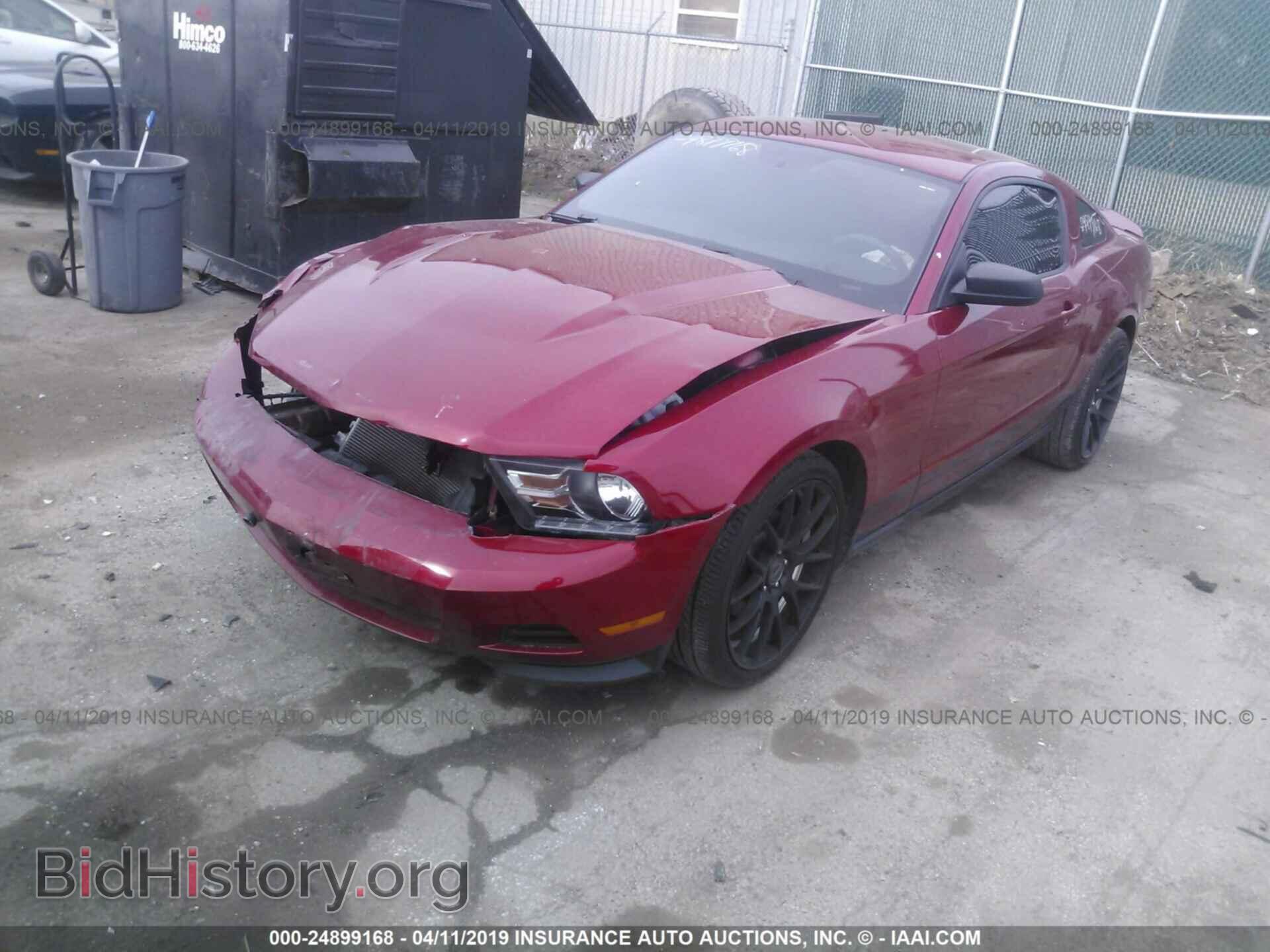 2011 FORD MUSTANG - VIN: 1ZVBP8AM4B5168246 - Фото 2