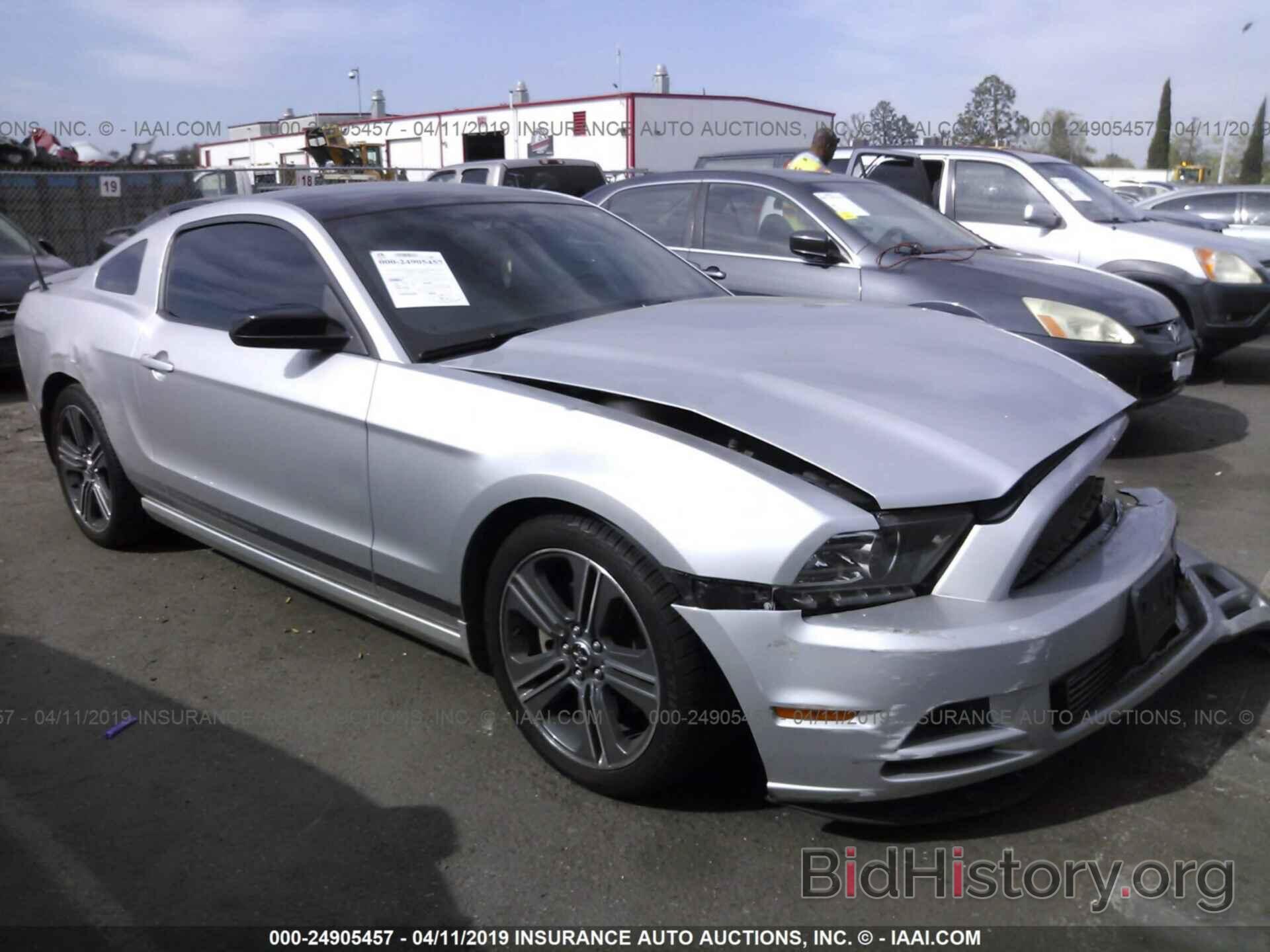 Photo 1ZVBP8AM8E5210311 - FORD MUSTANG 2014