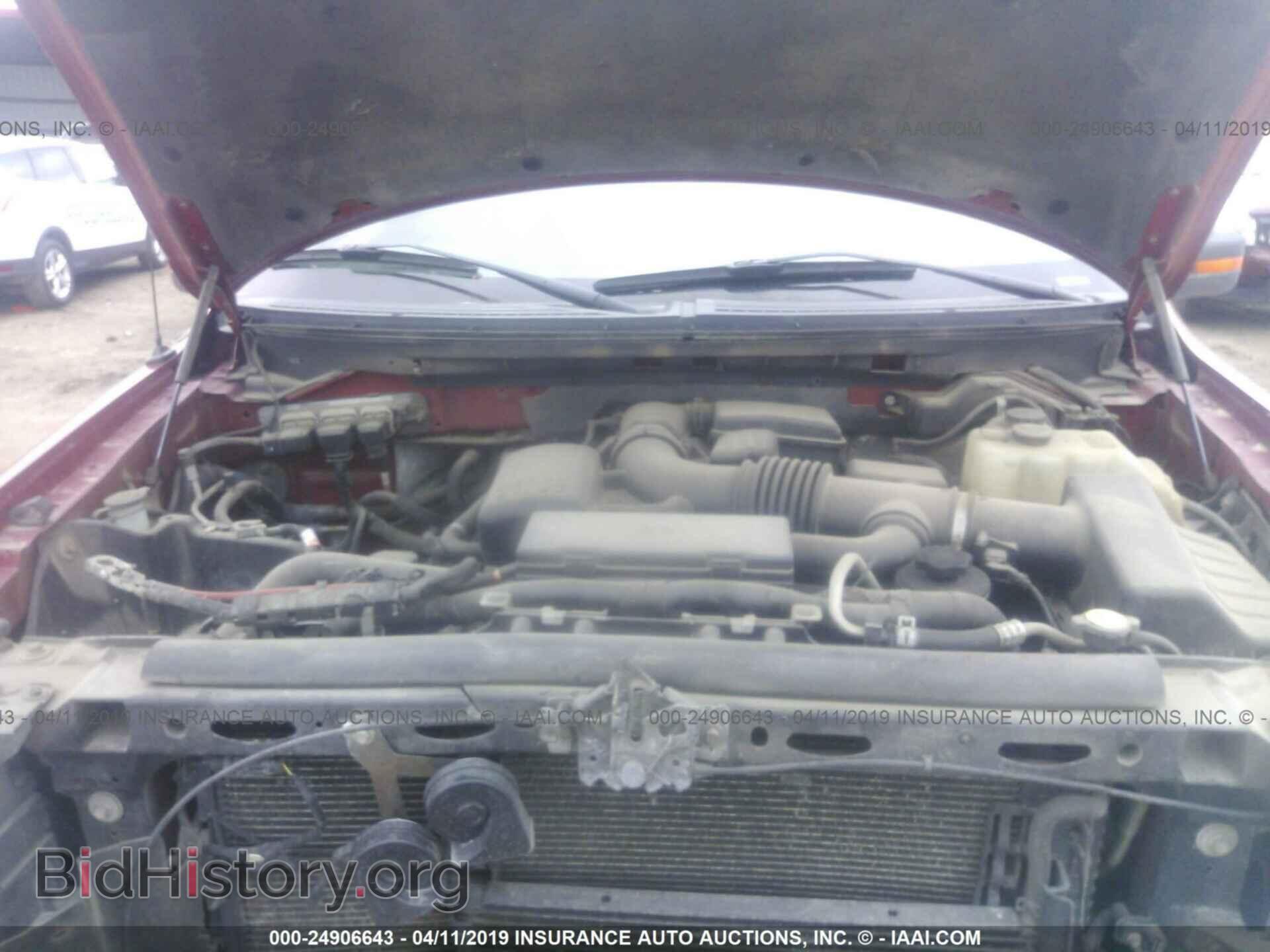 2010 FORD F150 - VIN: 1FTFW1EV0AFB68996 - Фото 10