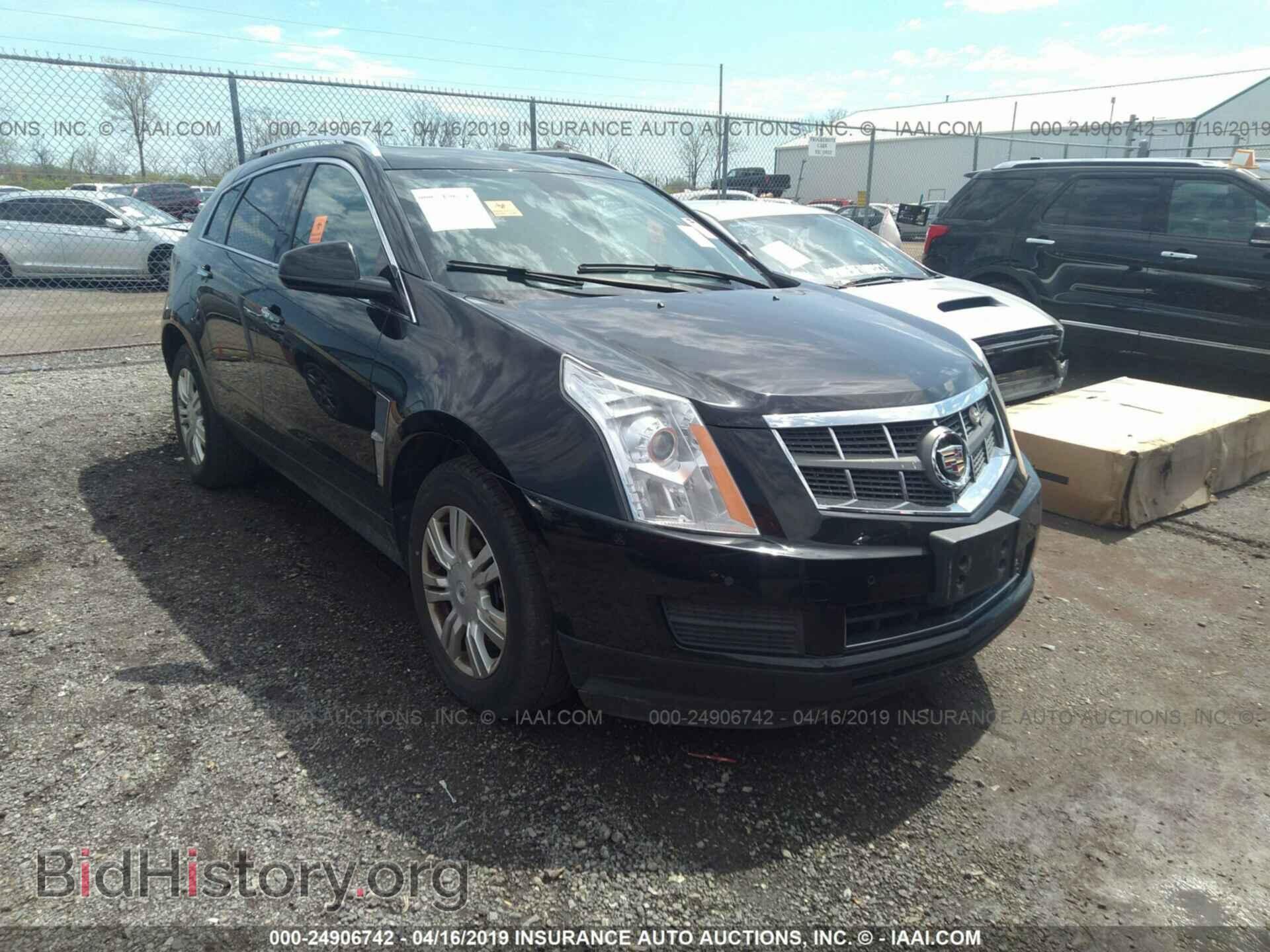 Photo 3GYFNDEY5BS664849 - CADILLAC SRX 2011