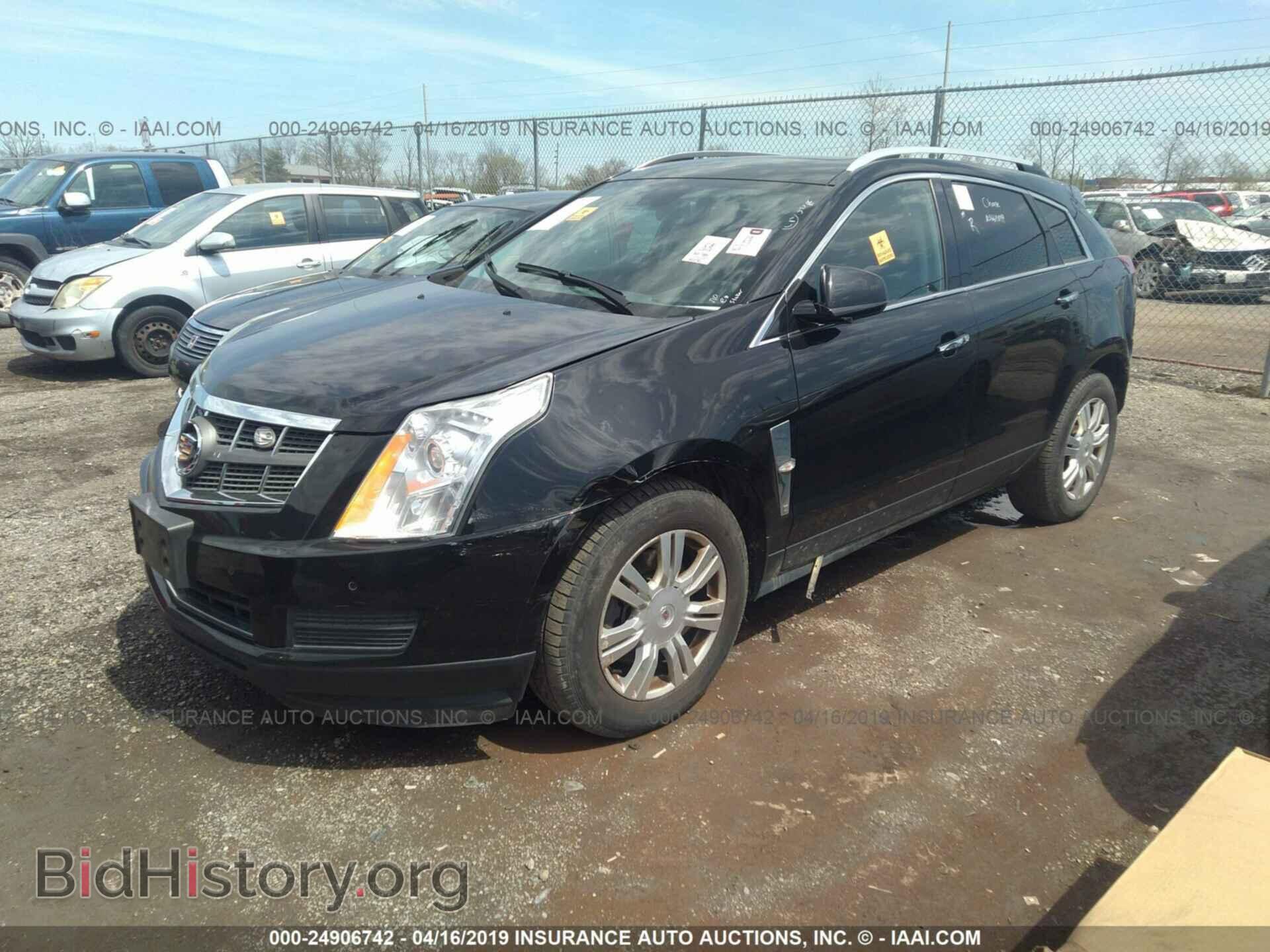 2011 CADILLAC SRX - VIN: 3GYFNDEY5BS664849 - Фото 2
