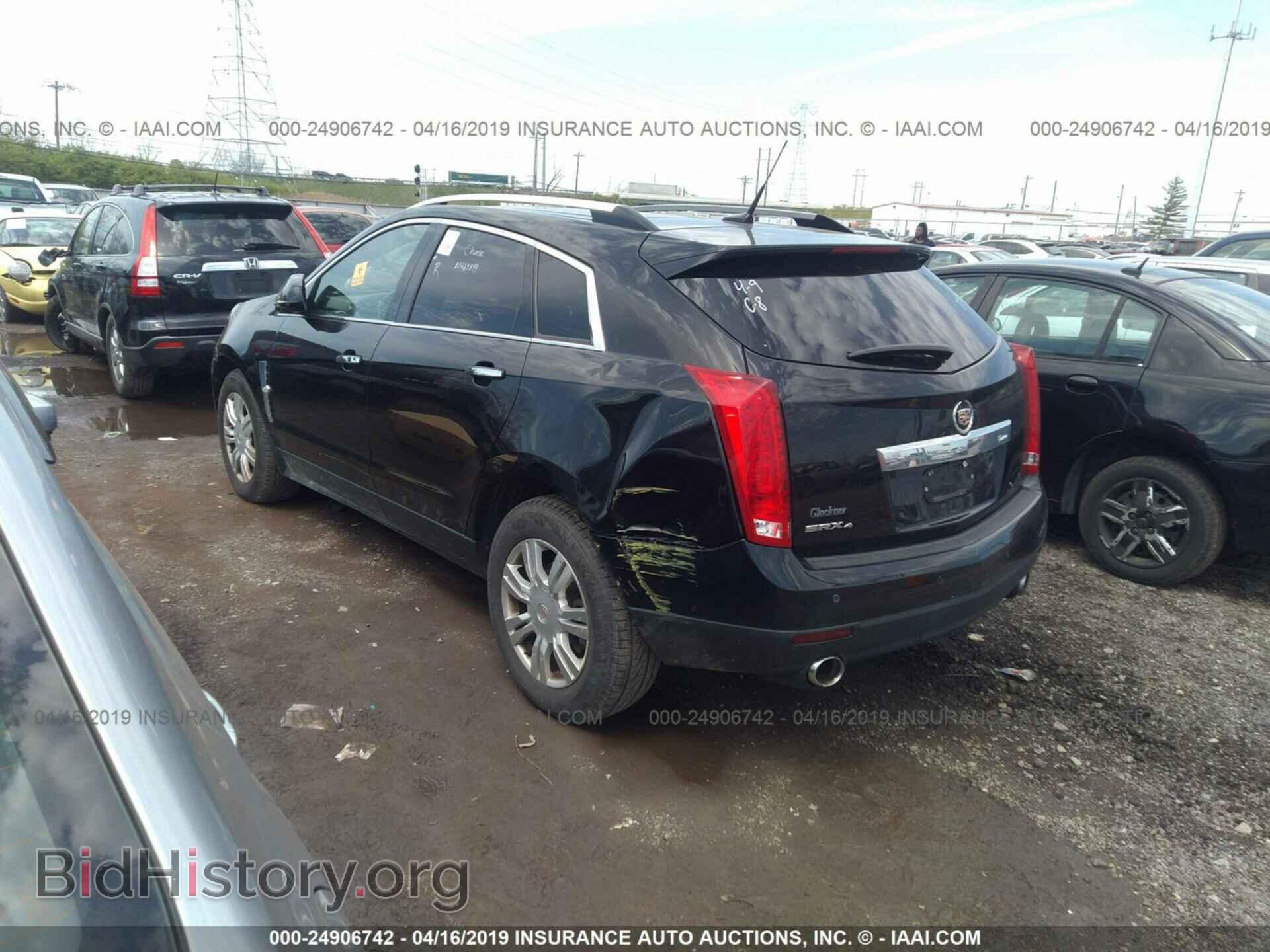2011 CADILLAC SRX - VIN: 3GYFNDEY5BS664849 - Фото 3