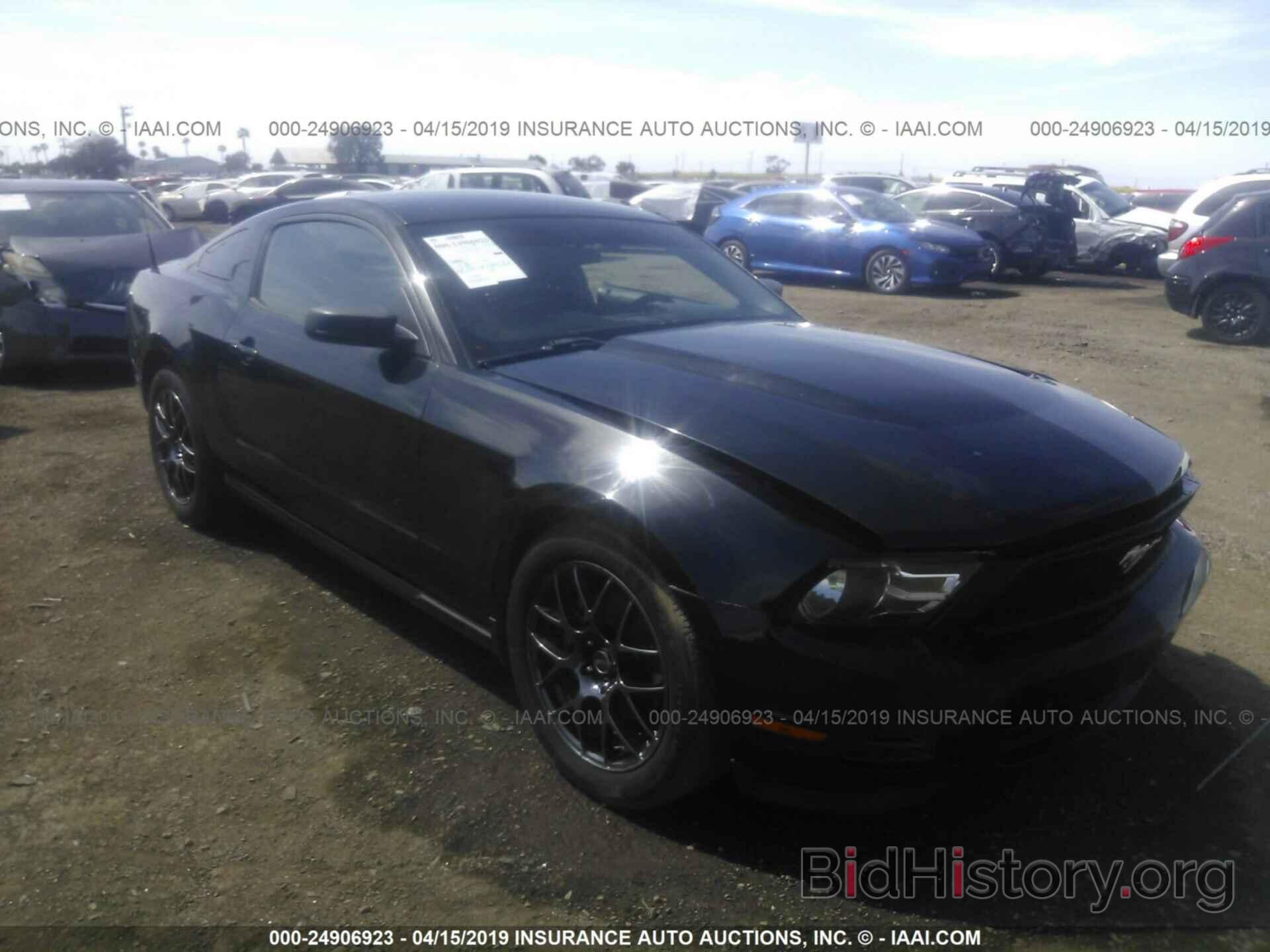 Photo 1ZVBP8AM8C5249705 - FORD MUSTANG 2012