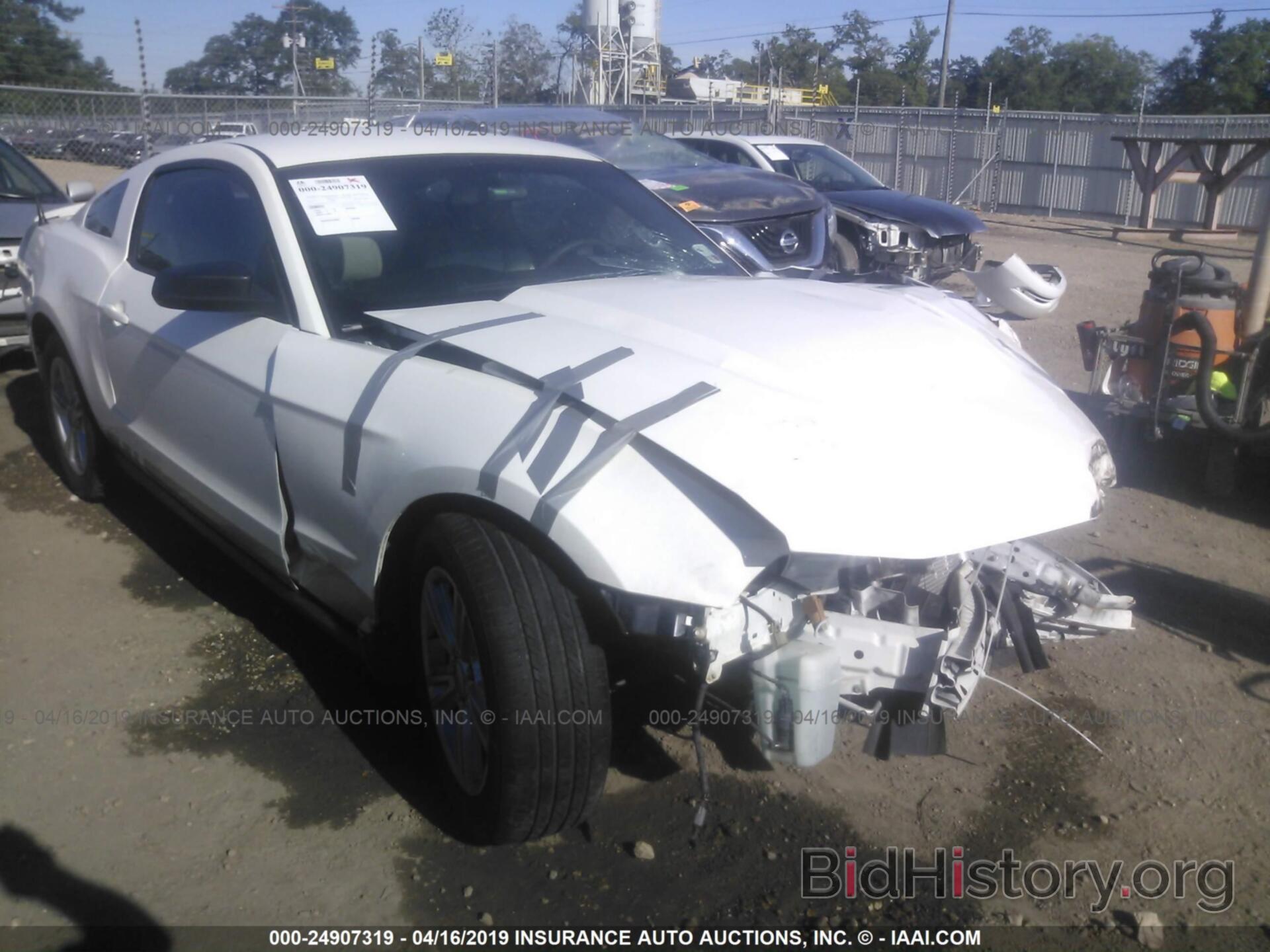 Photo 1ZVBP8AM9C5258333 - FORD MUSTANG 2012