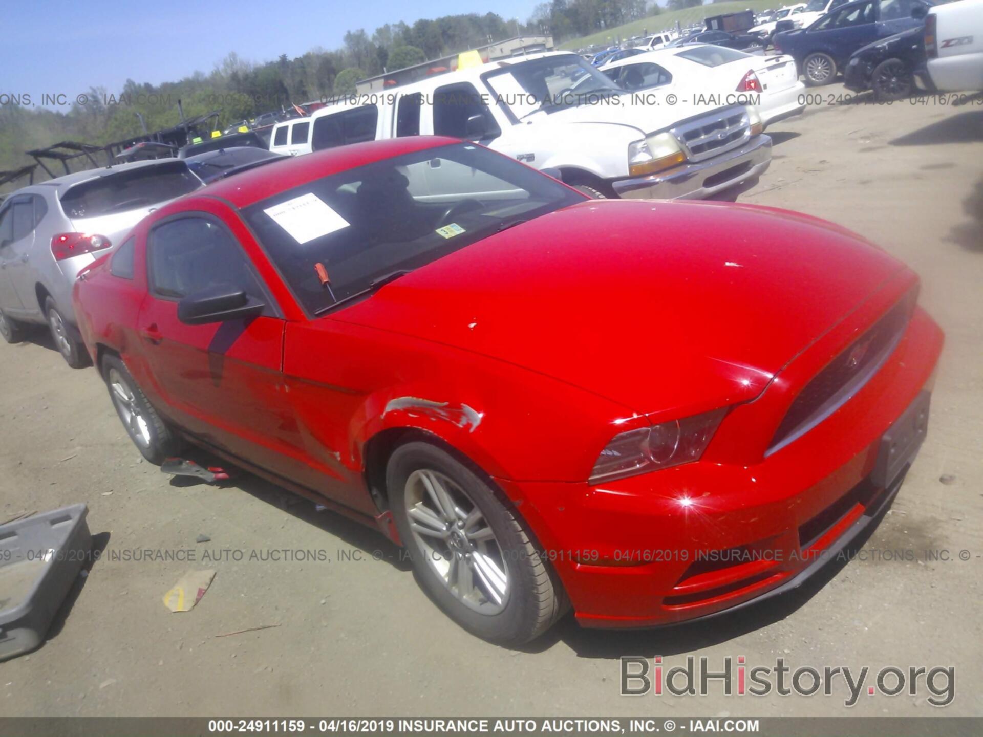Photo 1ZVBP8AM5D5258153 - FORD MUSTANG 2013
