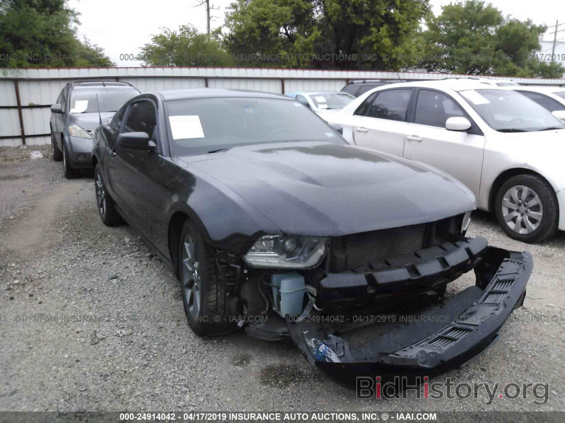 Photo 1ZVBP8AM2C5281467 - FORD MUSTANG 2012