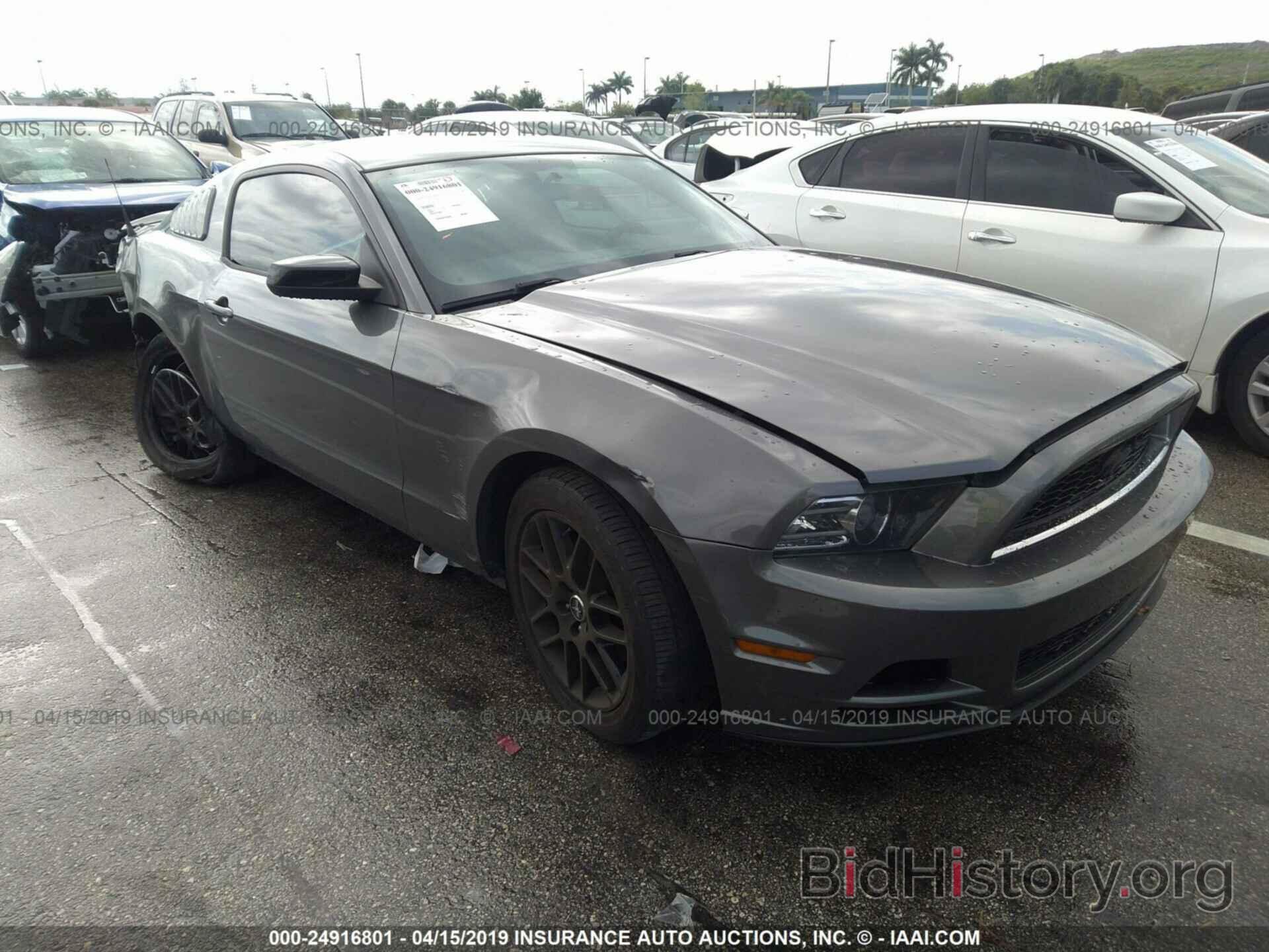 Photo 1ZVBP8AM9E5308733 - FORD MUSTANG 2014