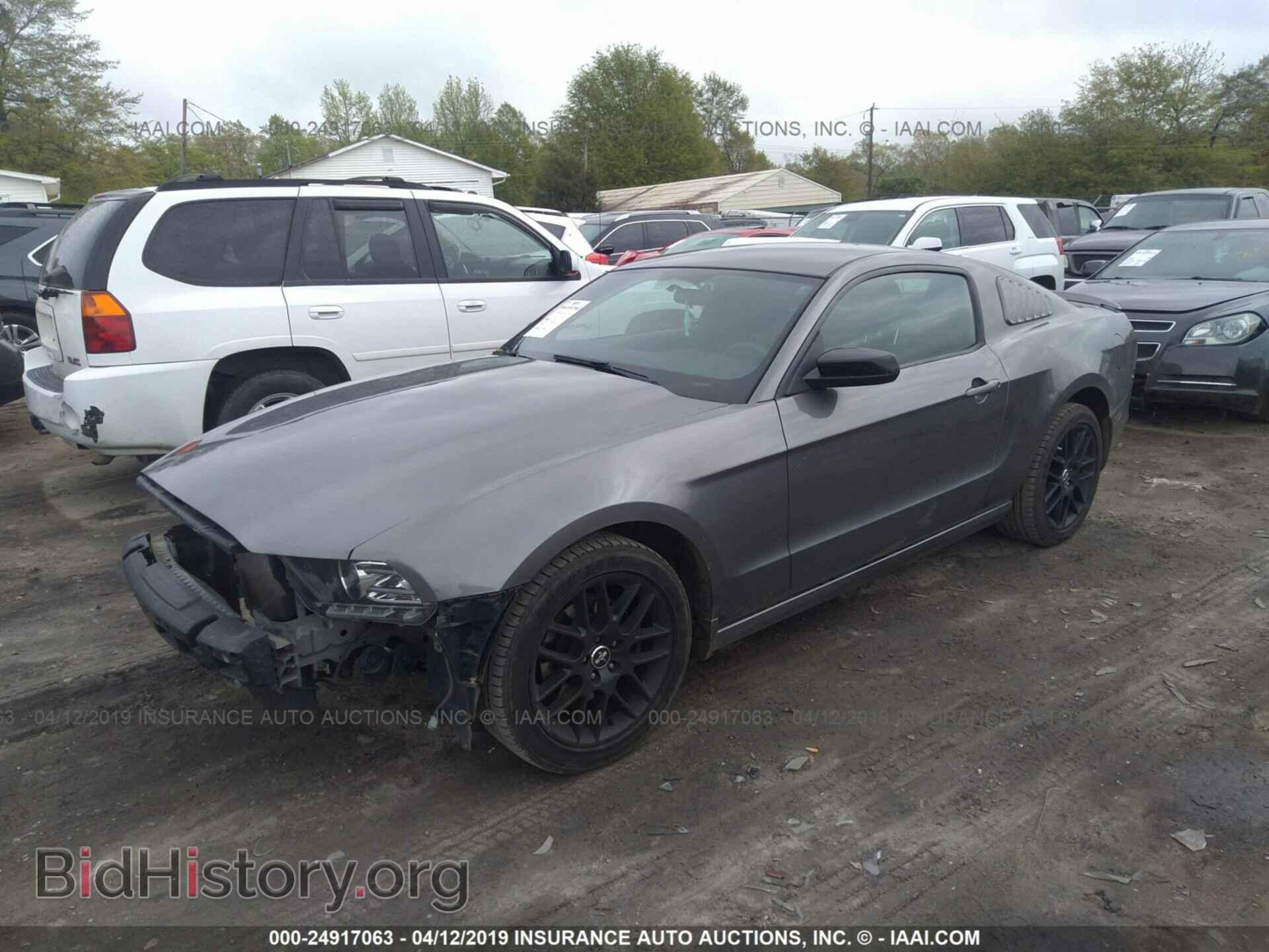 2014 FORD MUSTANG - VIN: 1ZVBP8AM2E5294299 - Фото 2