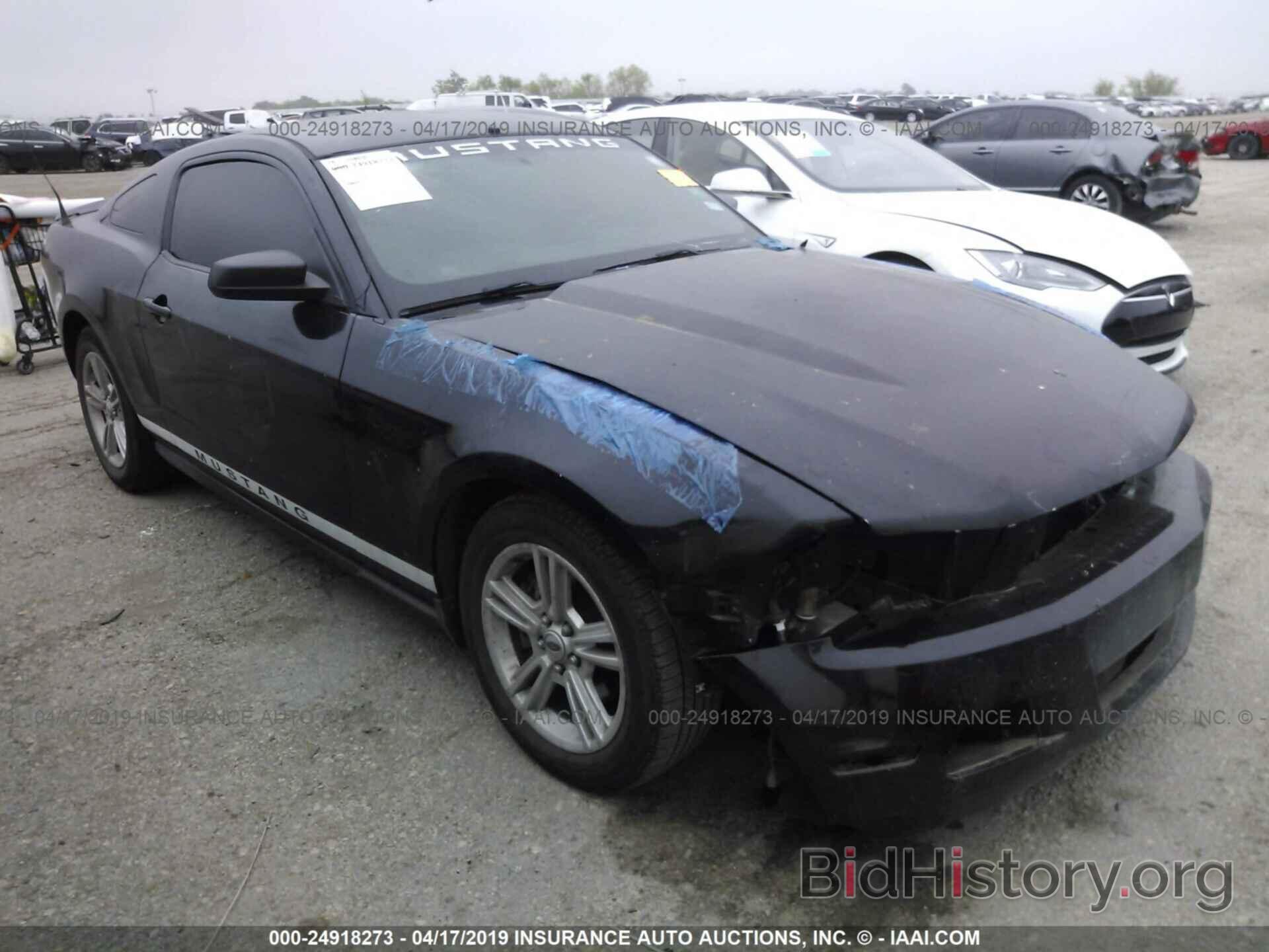 Photo 1ZVBP8AM4C5272429 - FORD MUSTANG 2012