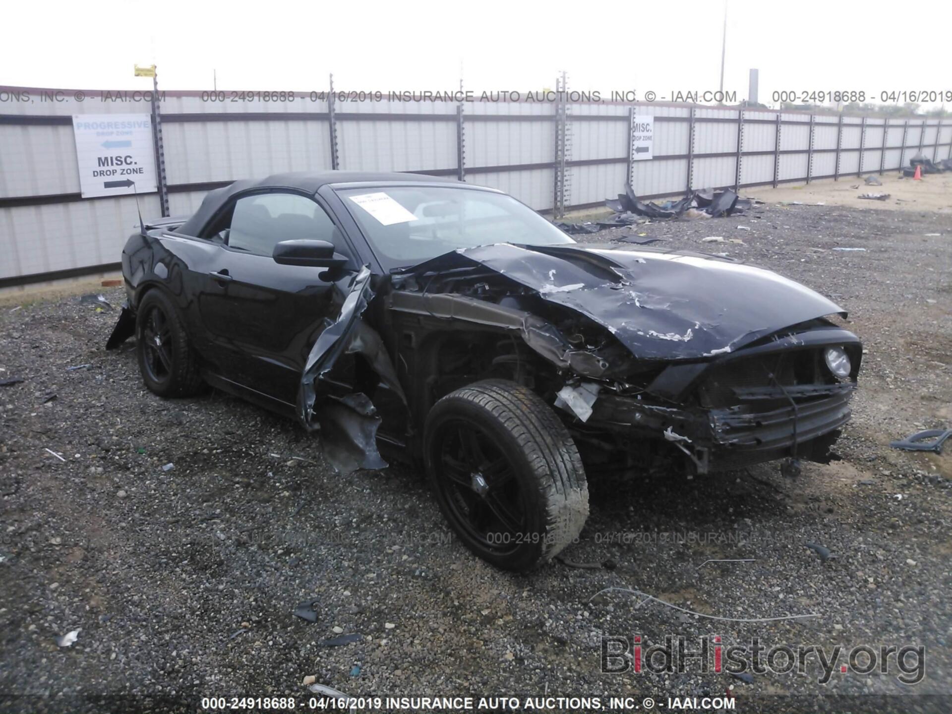 Photo 1ZVBP8FF3D5221371 - FORD MUSTANG 2013