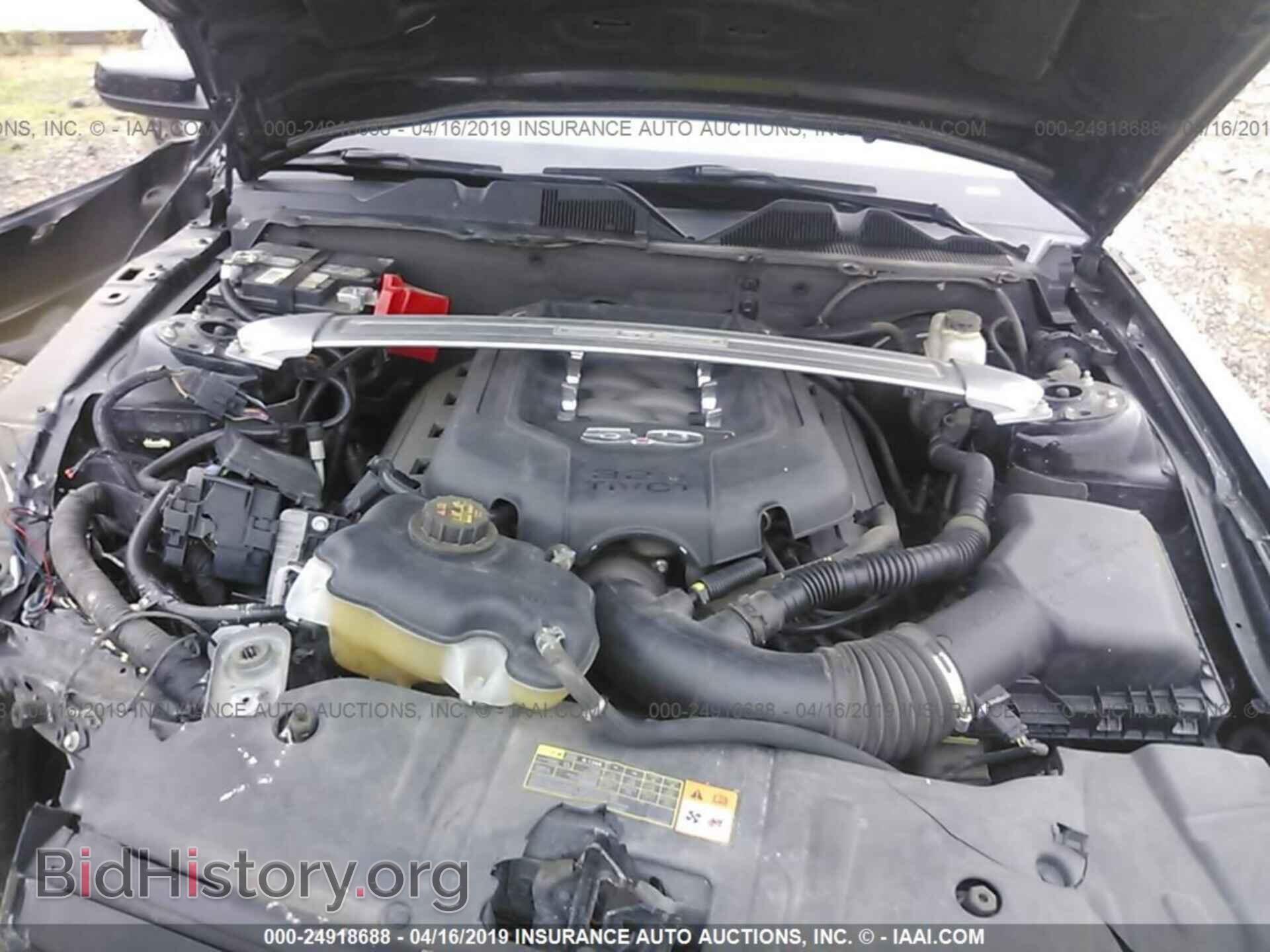 2013 FORD MUSTANG - VIN: 1ZVBP8FF3D5221371 - Фото 10