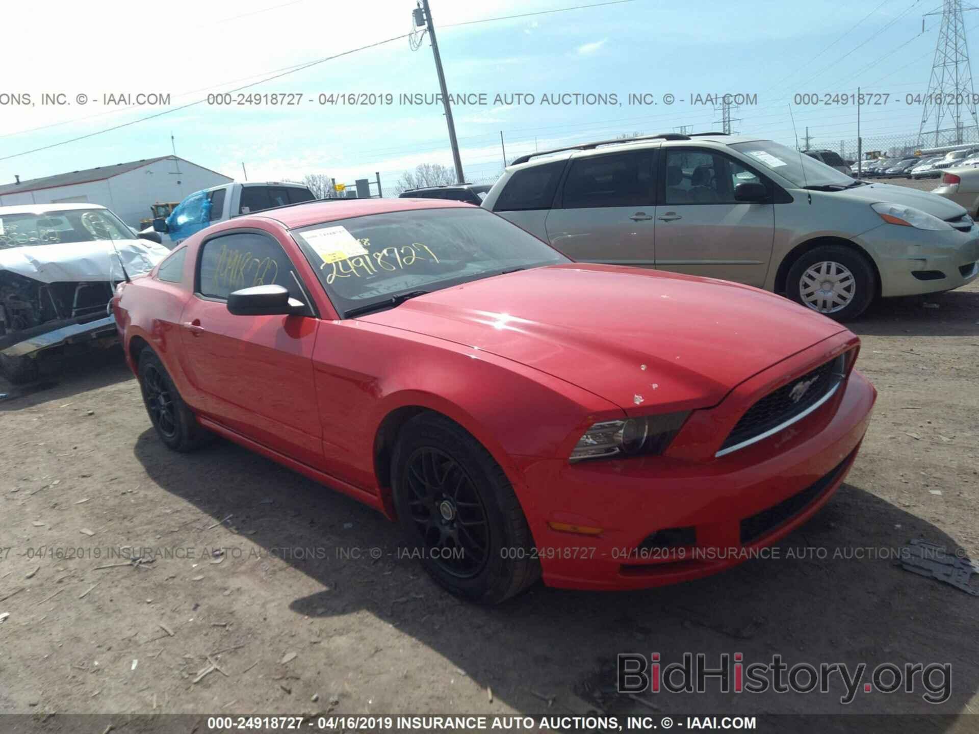 Photo 1ZVBP8AM5D5278533 - FORD MUSTANG 2013