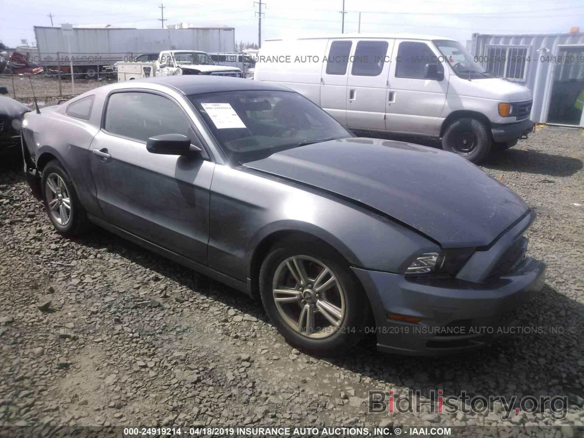 Photo 1ZVBP8AM9E5330988 - FORD MUSTANG 2014