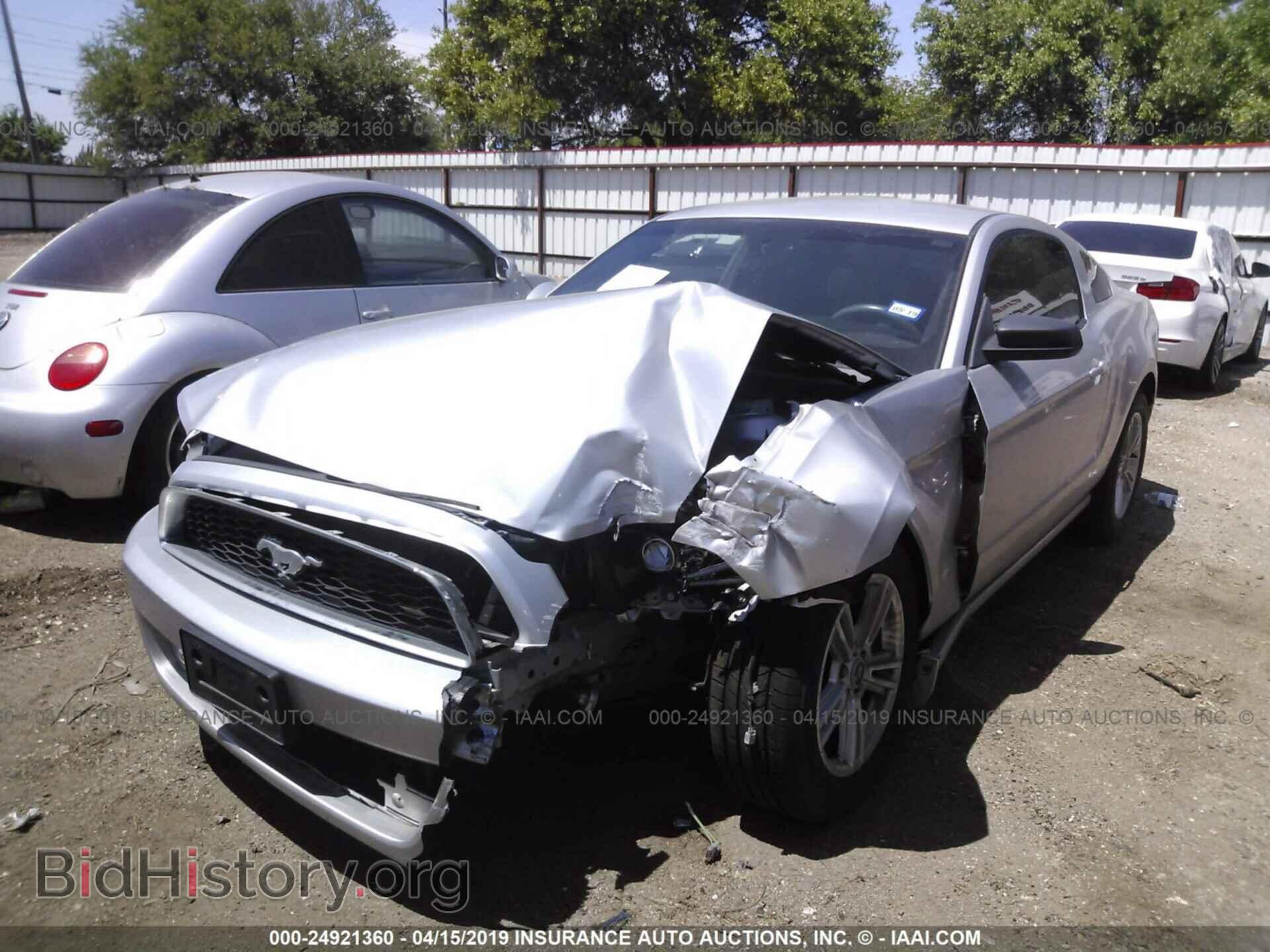 2014 FORD MUSTANG - VIN: 1ZVBP8AM2E5212409 - Фото 2