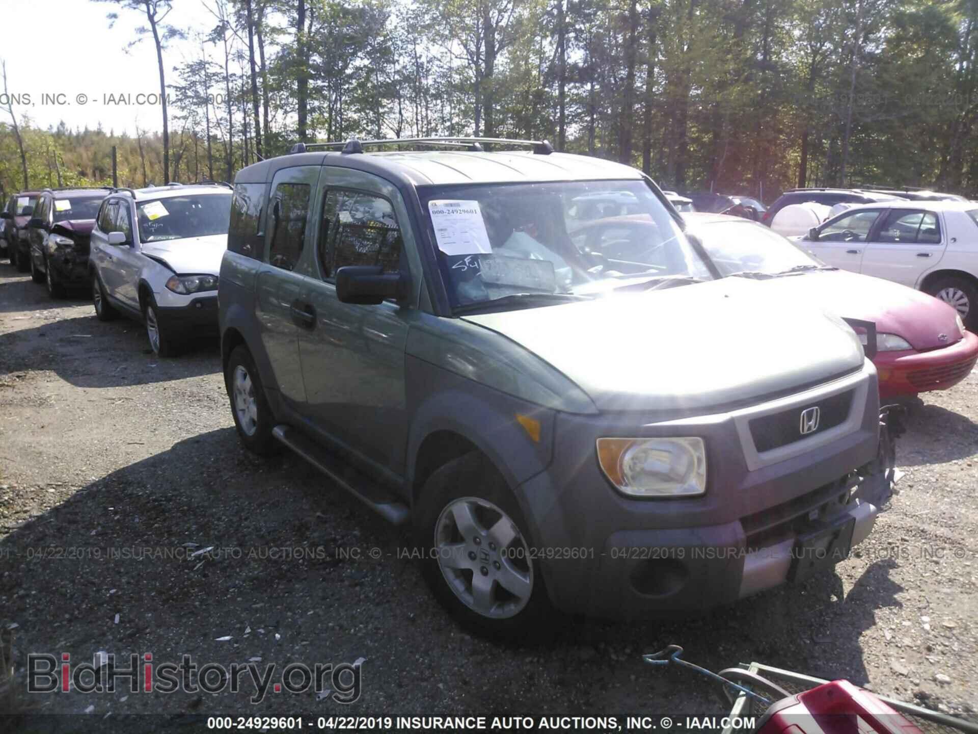 Photo 5J6YH28644L034036 - HONDA ELEMENT 2004