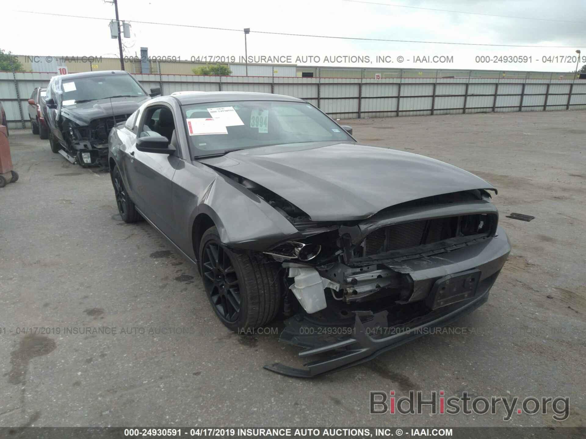 Photo 1ZVBP8AM3E5309781 - FORD MUSTANG 2014