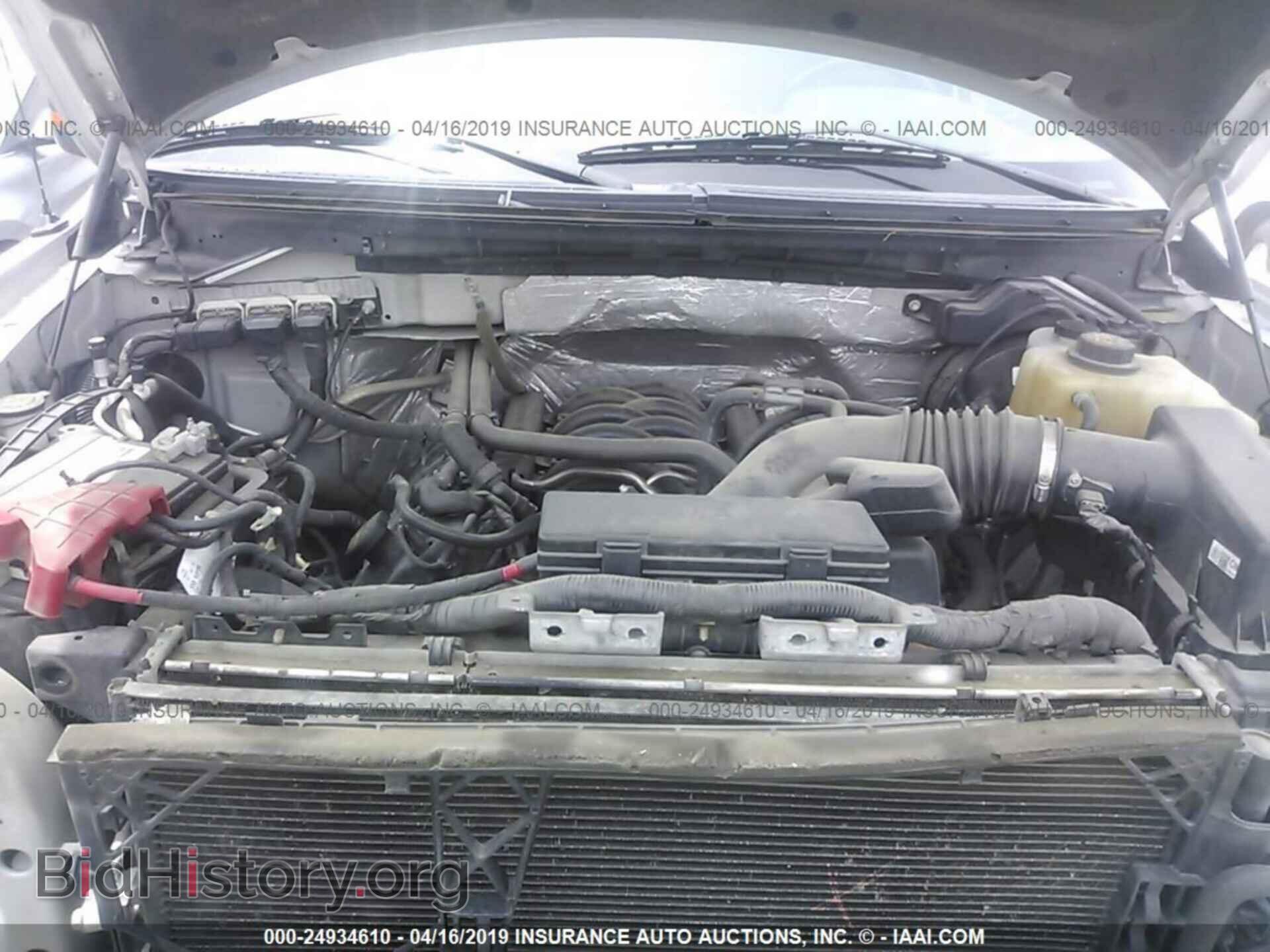 2013 FORD F150 - VIN: 1FTFW1EF1DKD64529 - Фото 10