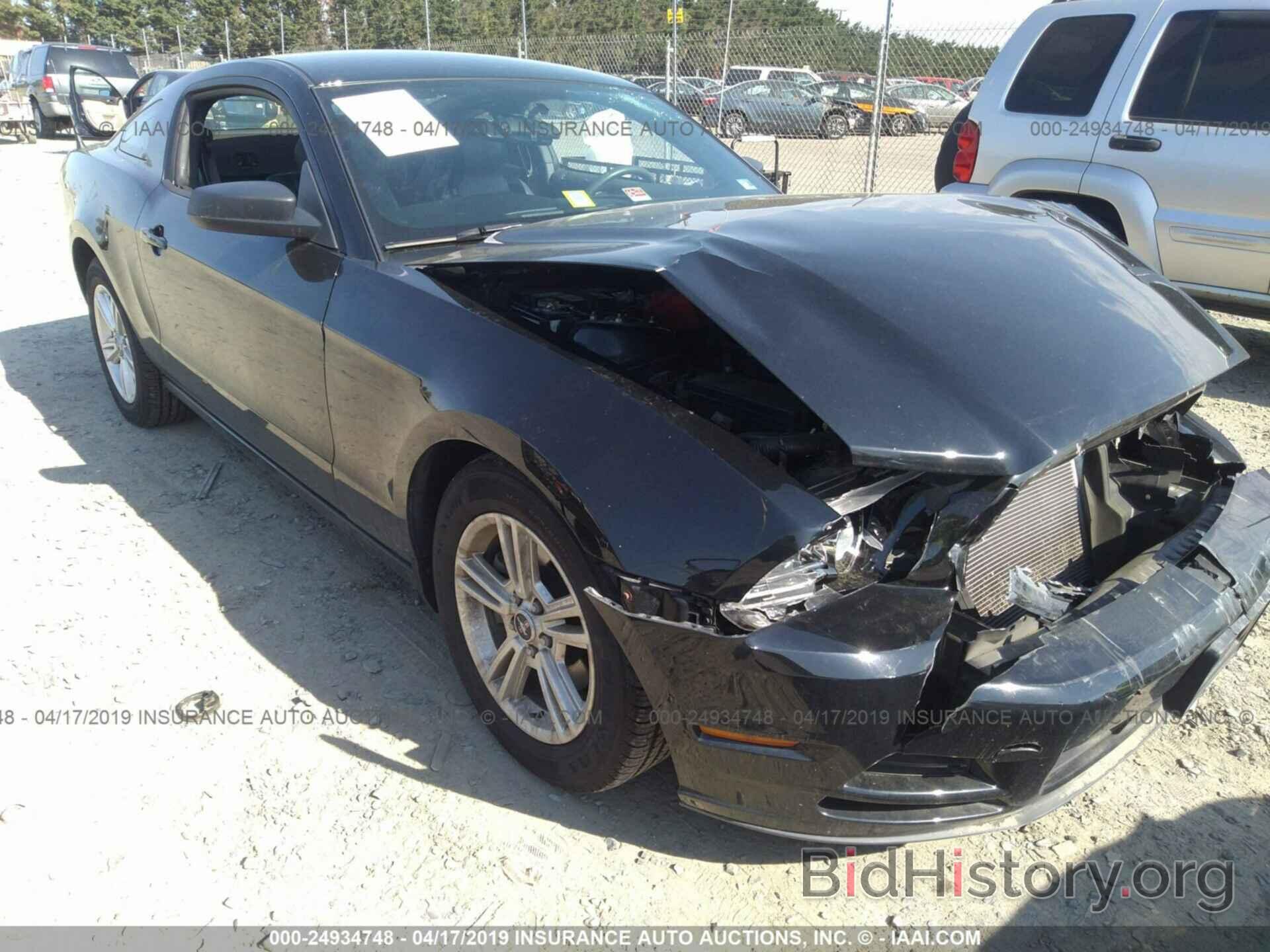 Photo 1ZVBP8AM5E5318434 - FORD MUSTANG 2014