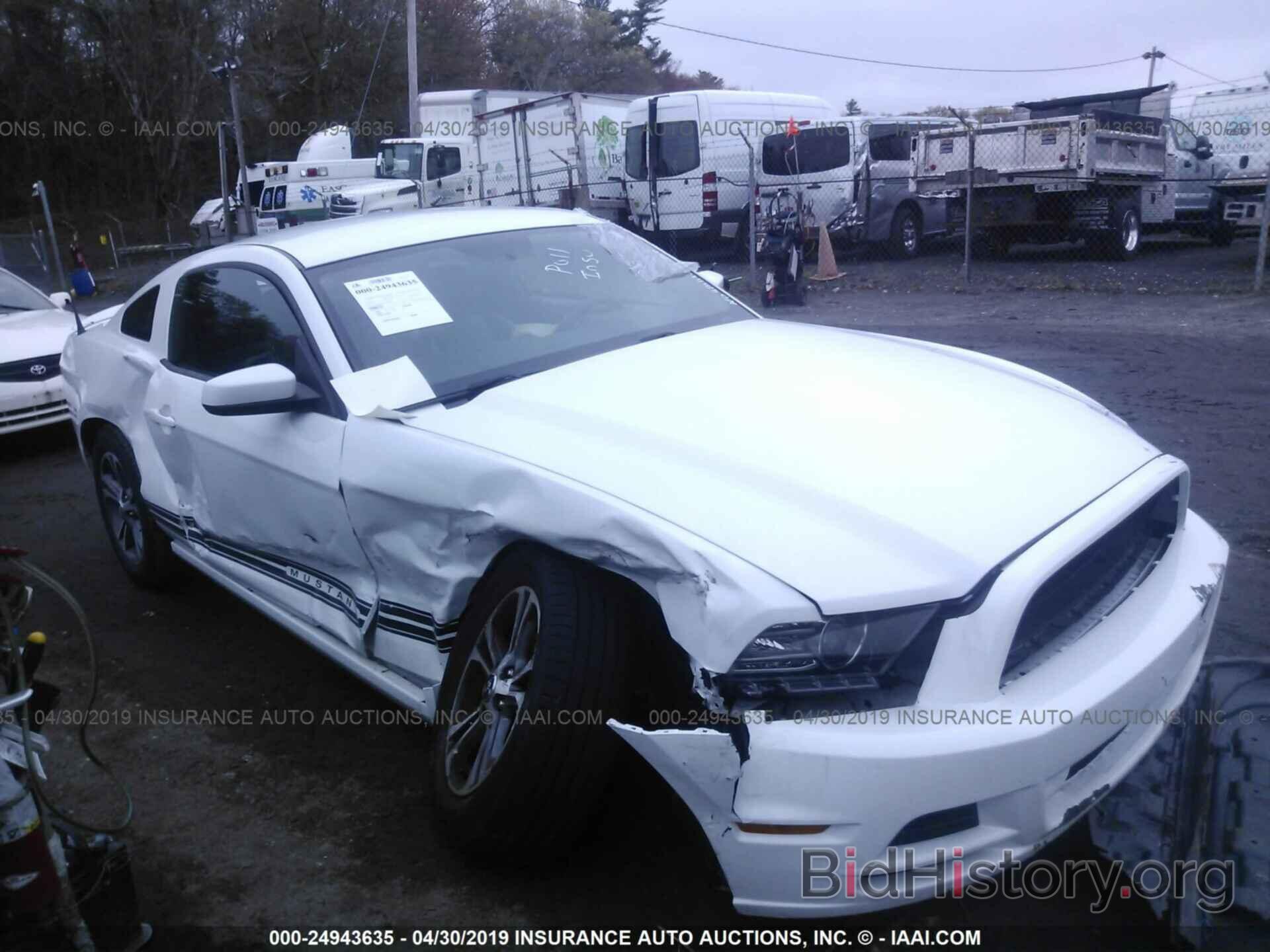 Photo 1ZVBP8AM0E5297458 - FORD MUSTANG 2014