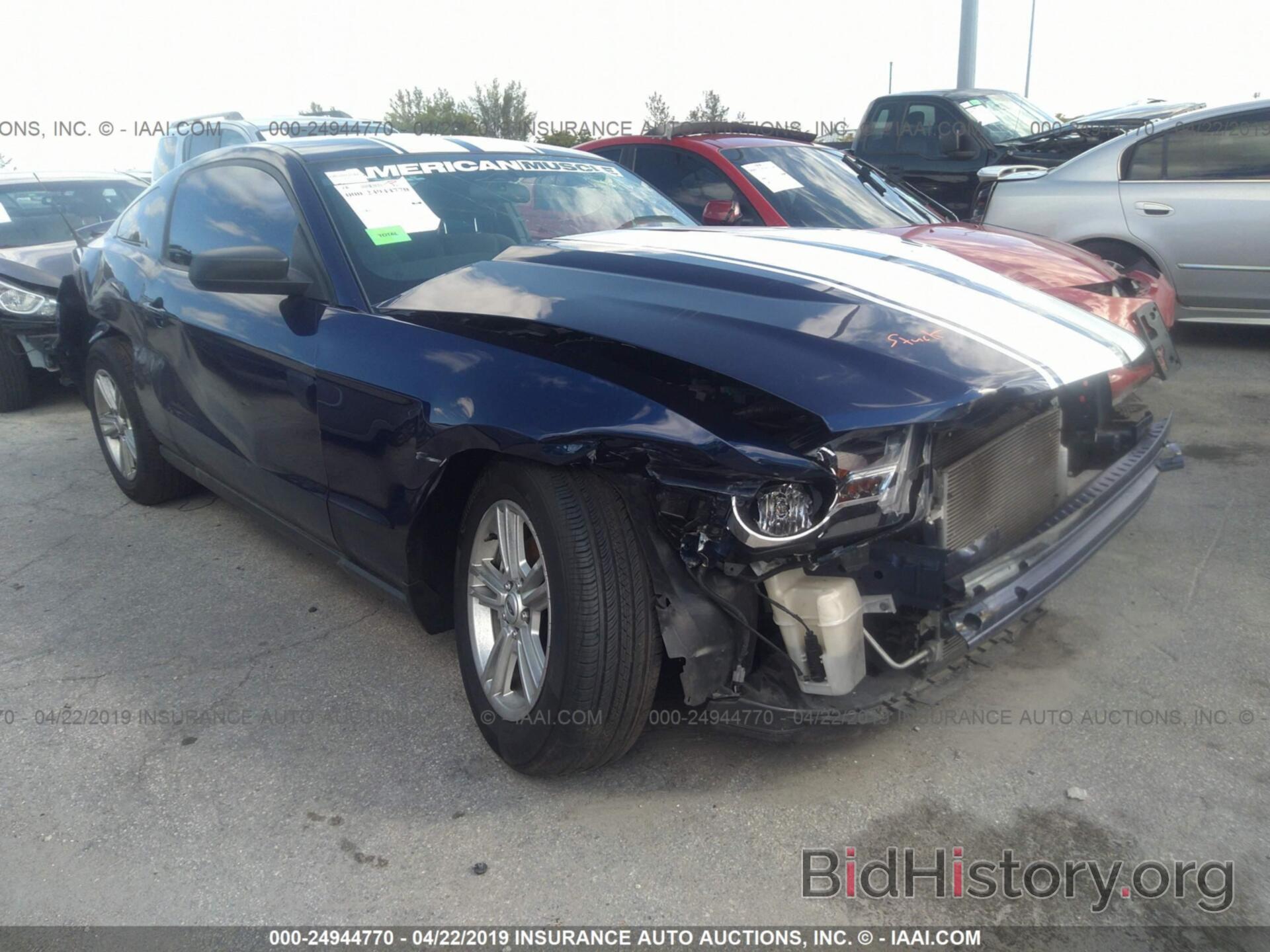 Photo 1ZVBP8AM6C5269046 - FORD MUSTANG 2012