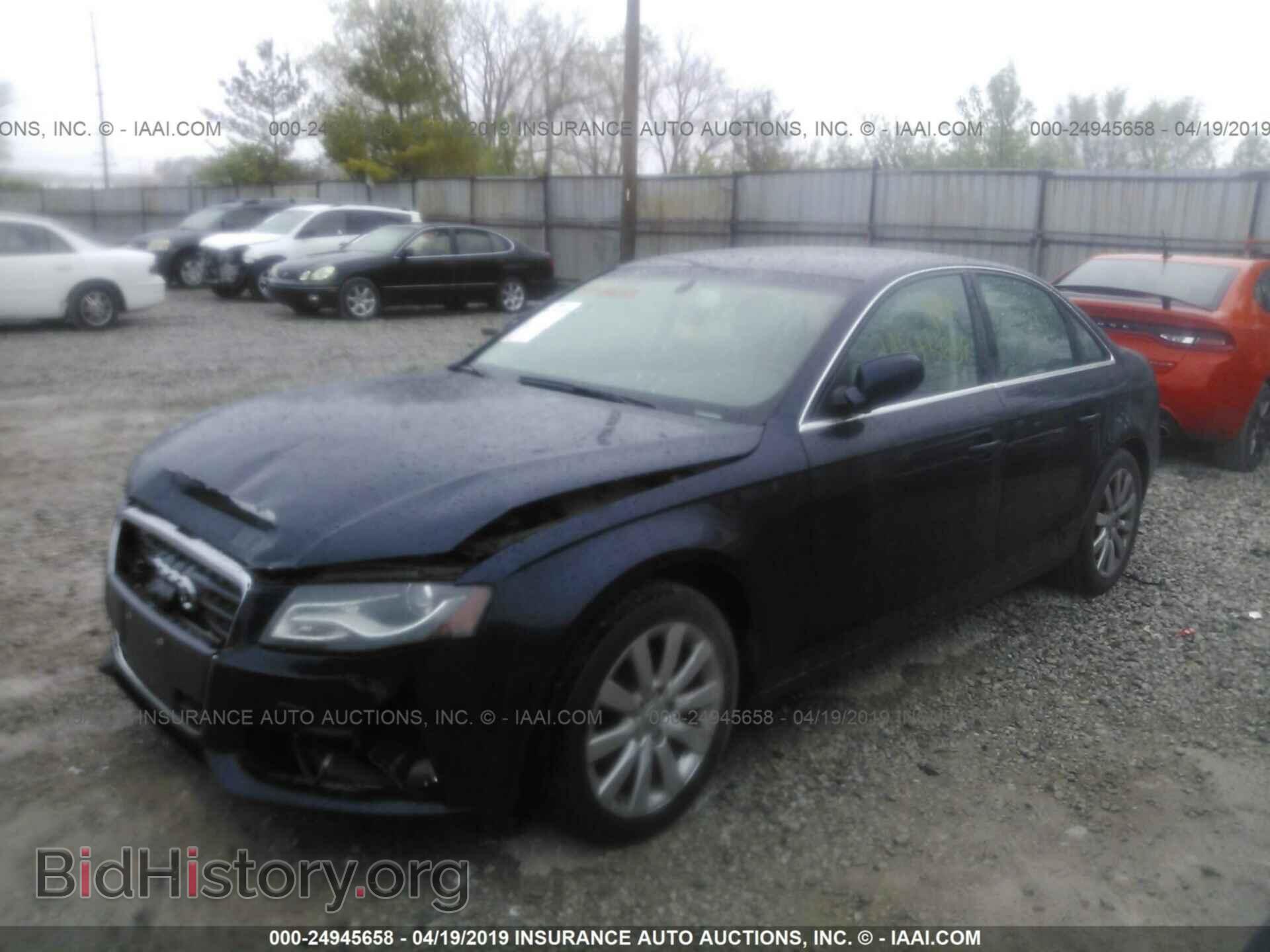 2010 AUDI A4 - VIN: WAUFFAFL5AN035330 - Фото 2