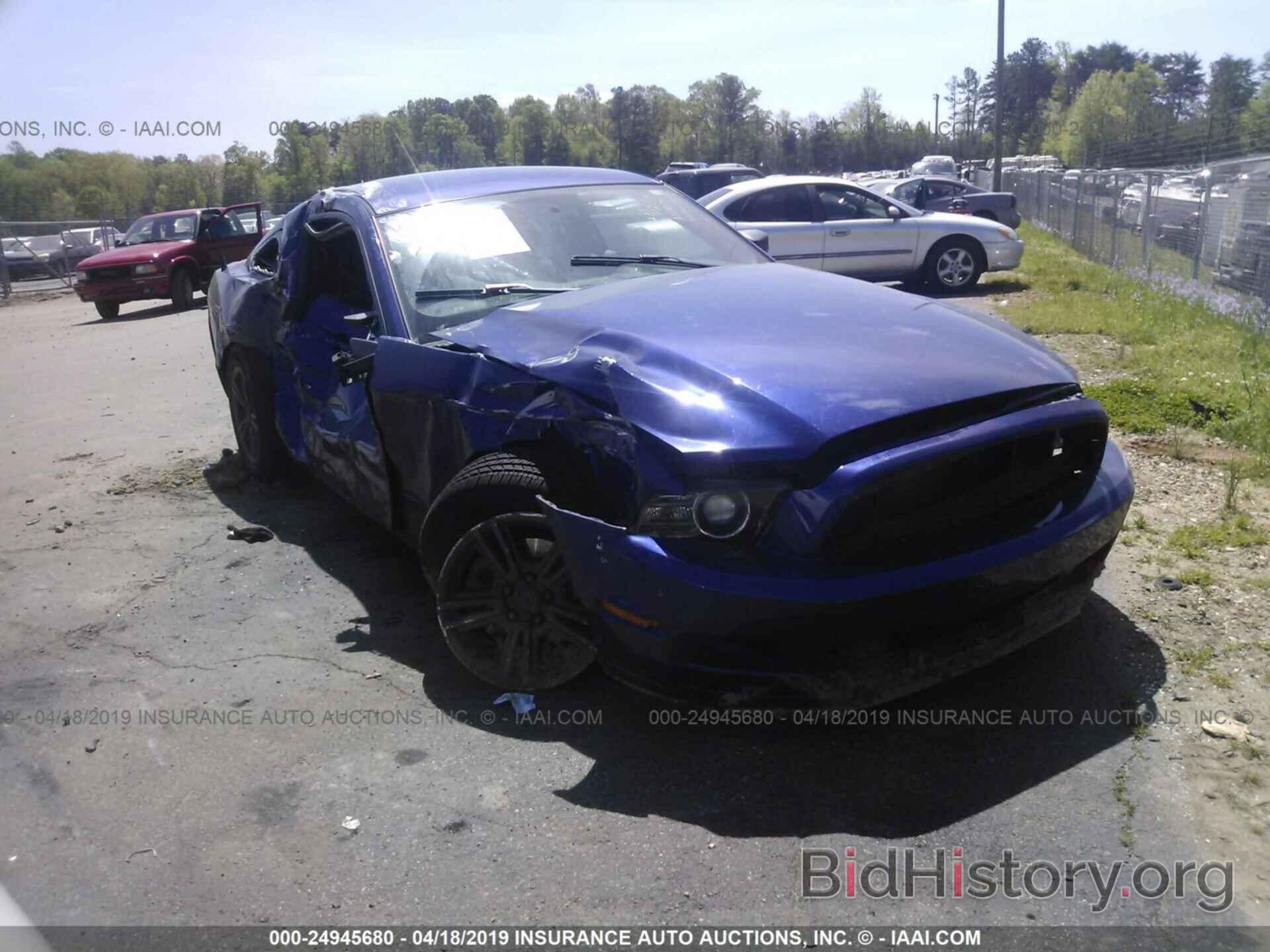 Photo 1ZVBP8AM9E5303225 - FORD MUSTANG 2014