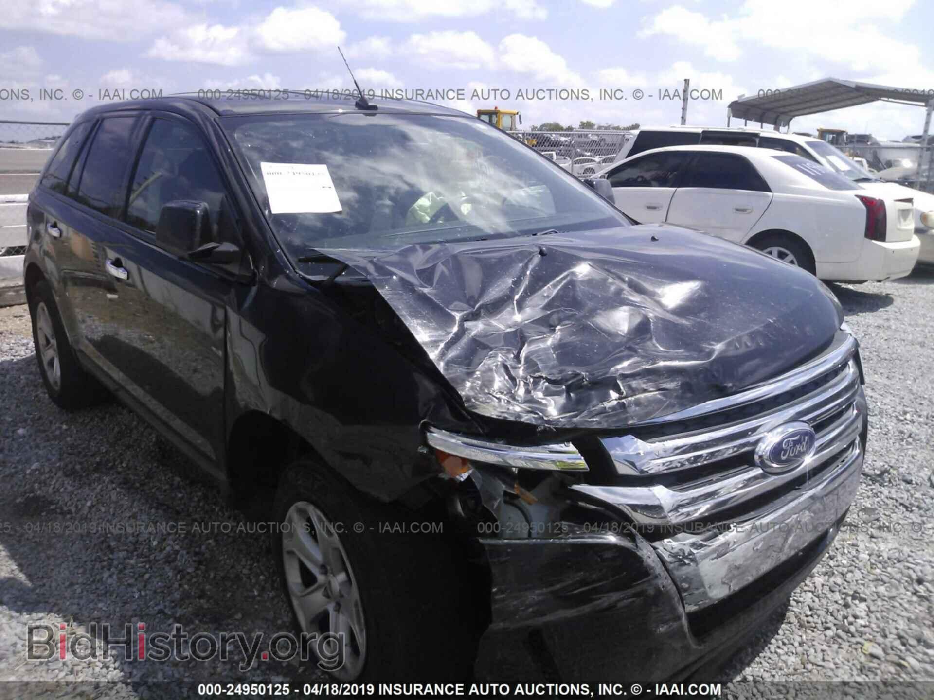 Фотография 2FMDK4JC6BBA10010 - FORD EDGE 2011