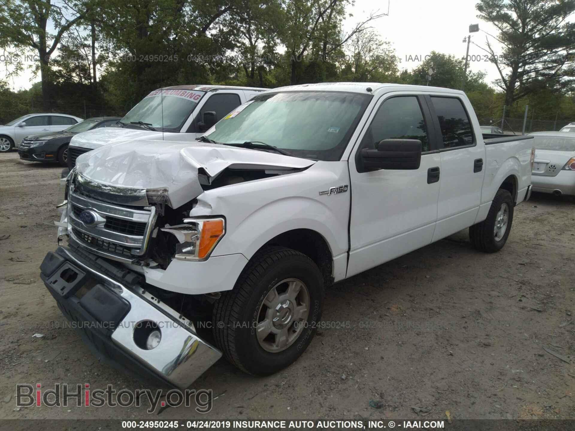 2013 FORD F150 - VIN: 1FTEW1CM8DFA62063 - Фото 2
