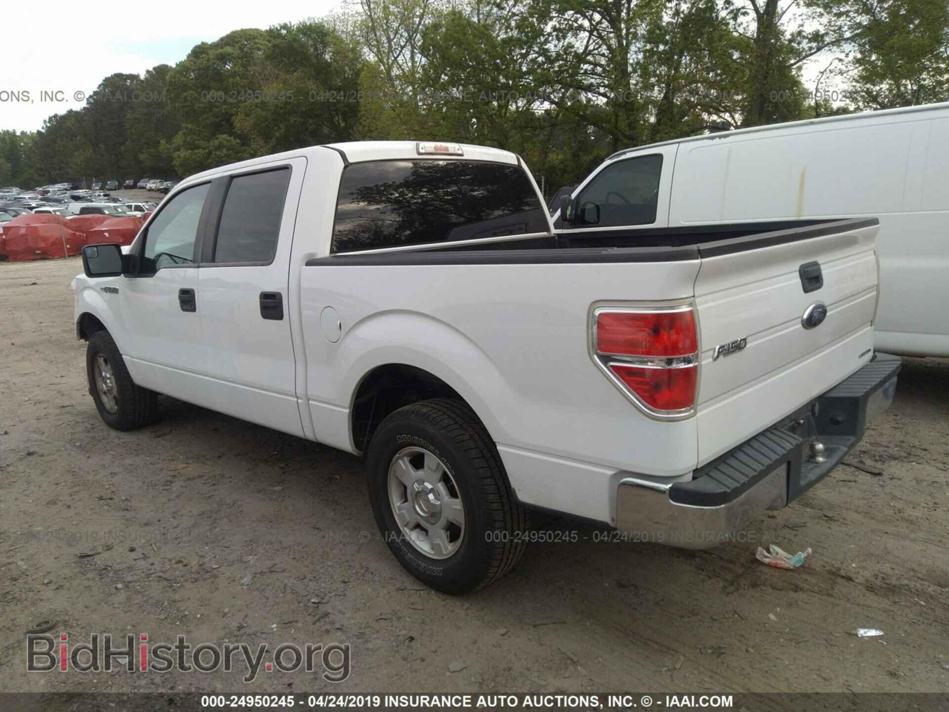 2013 FORD F150 - VIN: 1FTEW1CM8DFA62063 - Фото 3