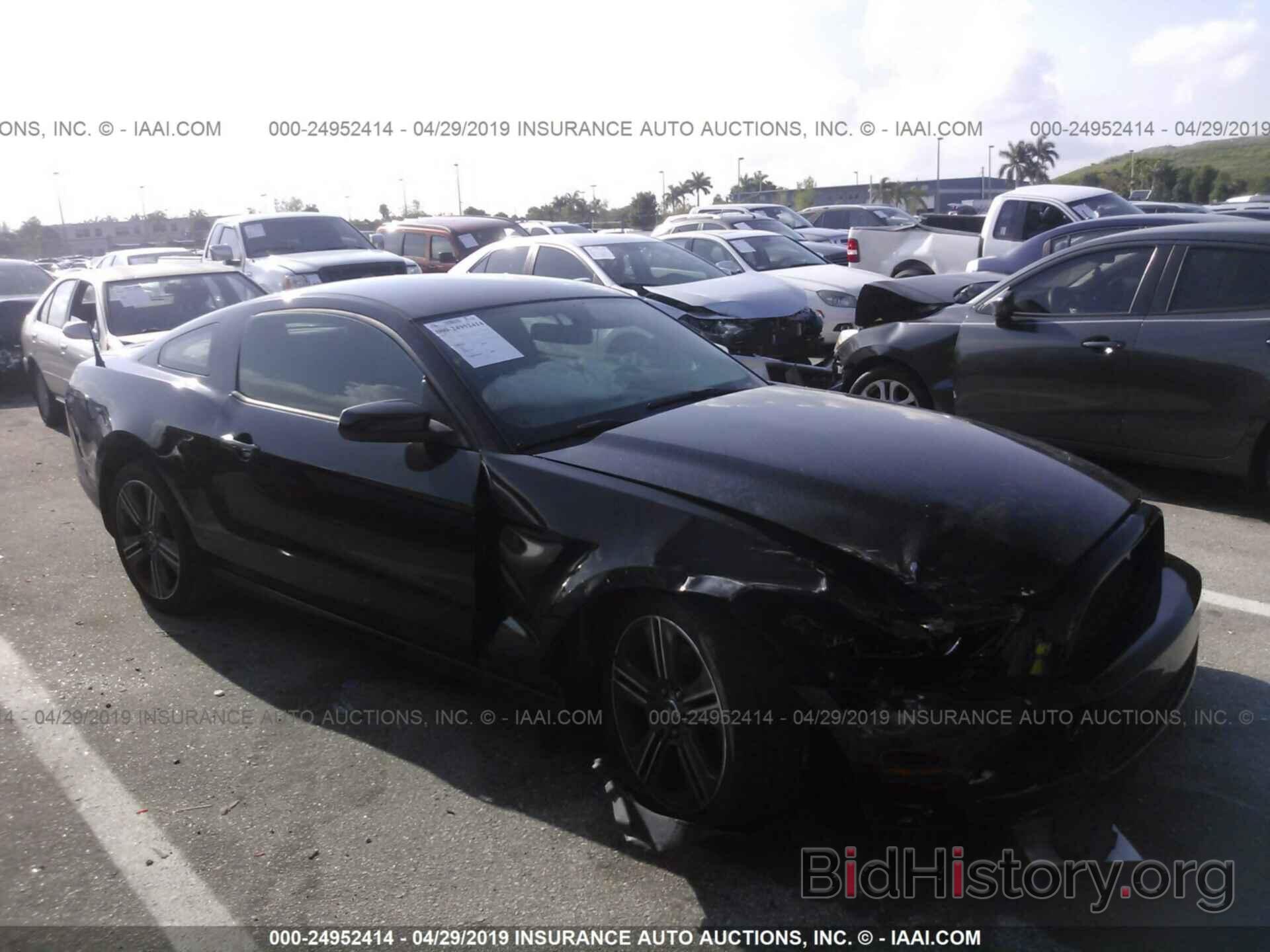 Photo 1ZVBP8AM3E5276832 - FORD MUSTANG 2014
