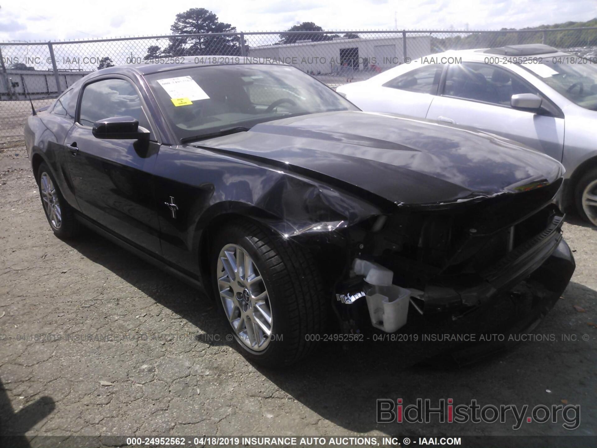 Photo 1ZVBP8AM4C5226163 - FORD MUSTANG 2012