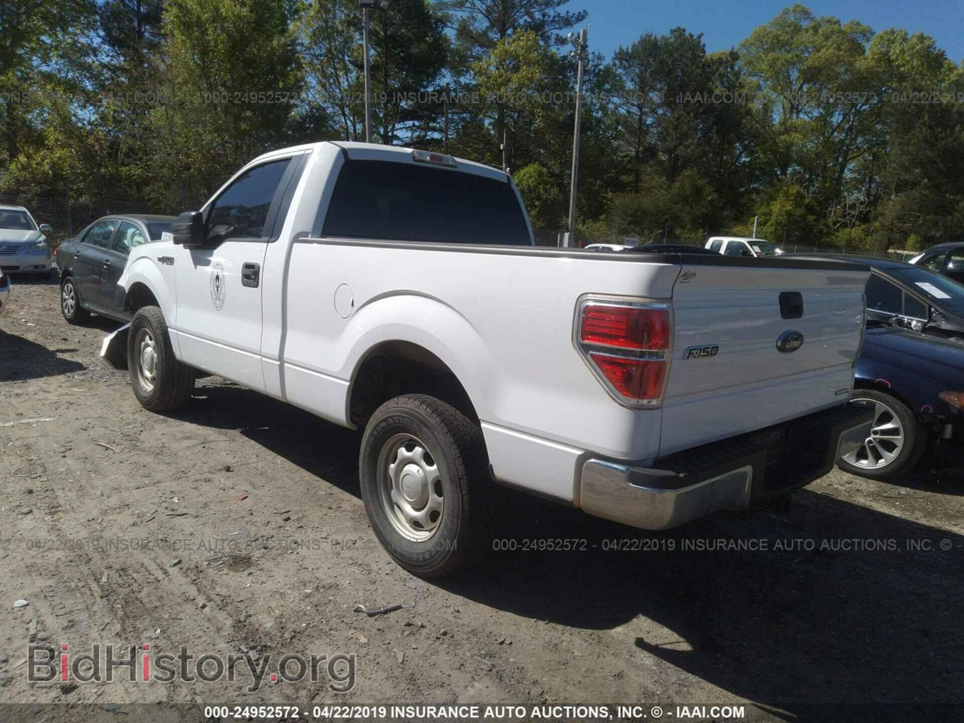 2013 FORD F150 - VIN: 1FTMF1EF5DFA75265 - Photo 3