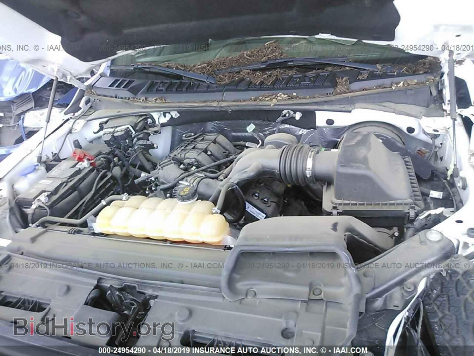 2016 FORD F150 - VIN: 1FTMF1C83GKF11014 - Фото 10