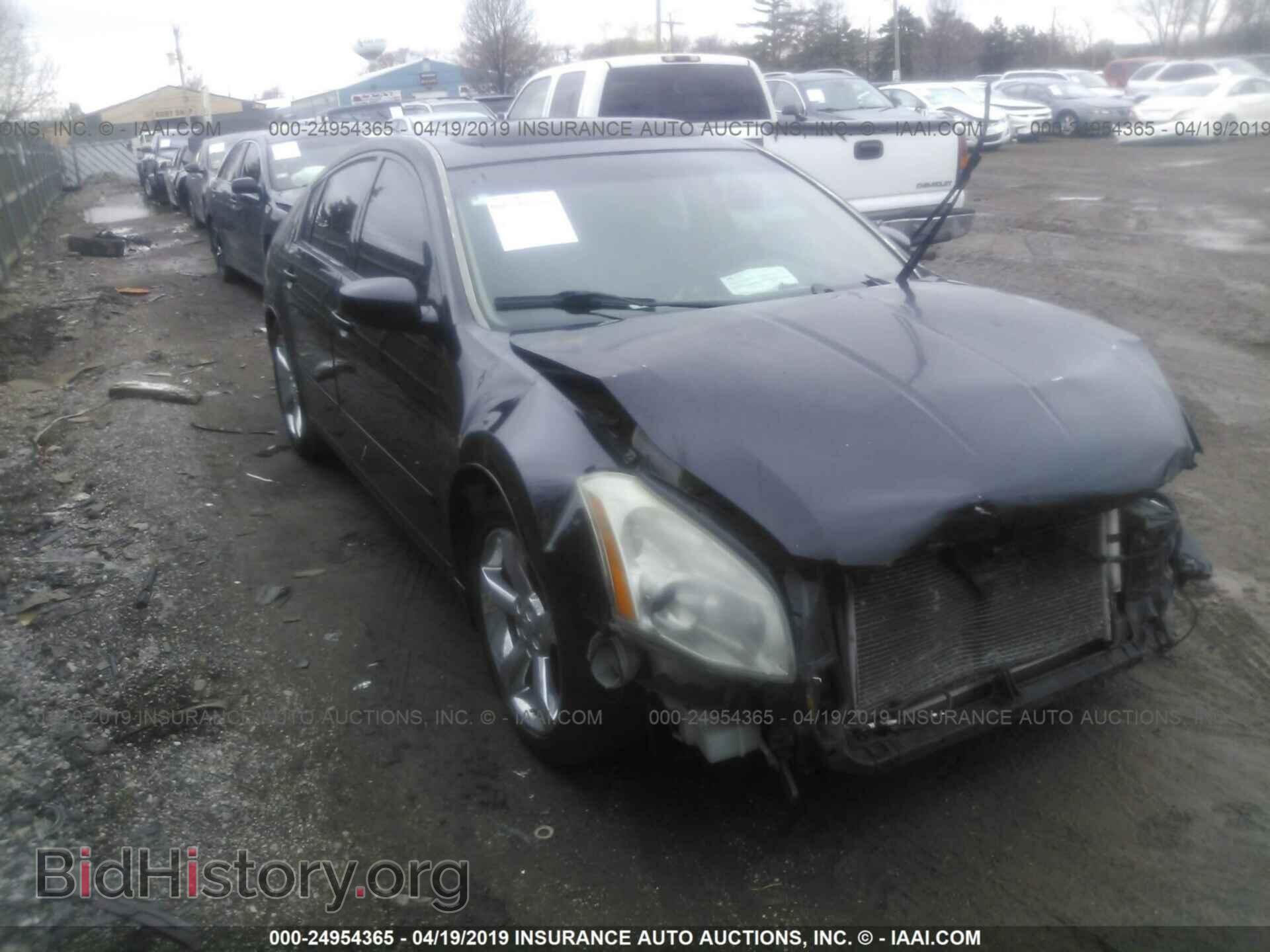 Photo 1N4BA41E58C812739 - NISSAN MAXIMA 2008