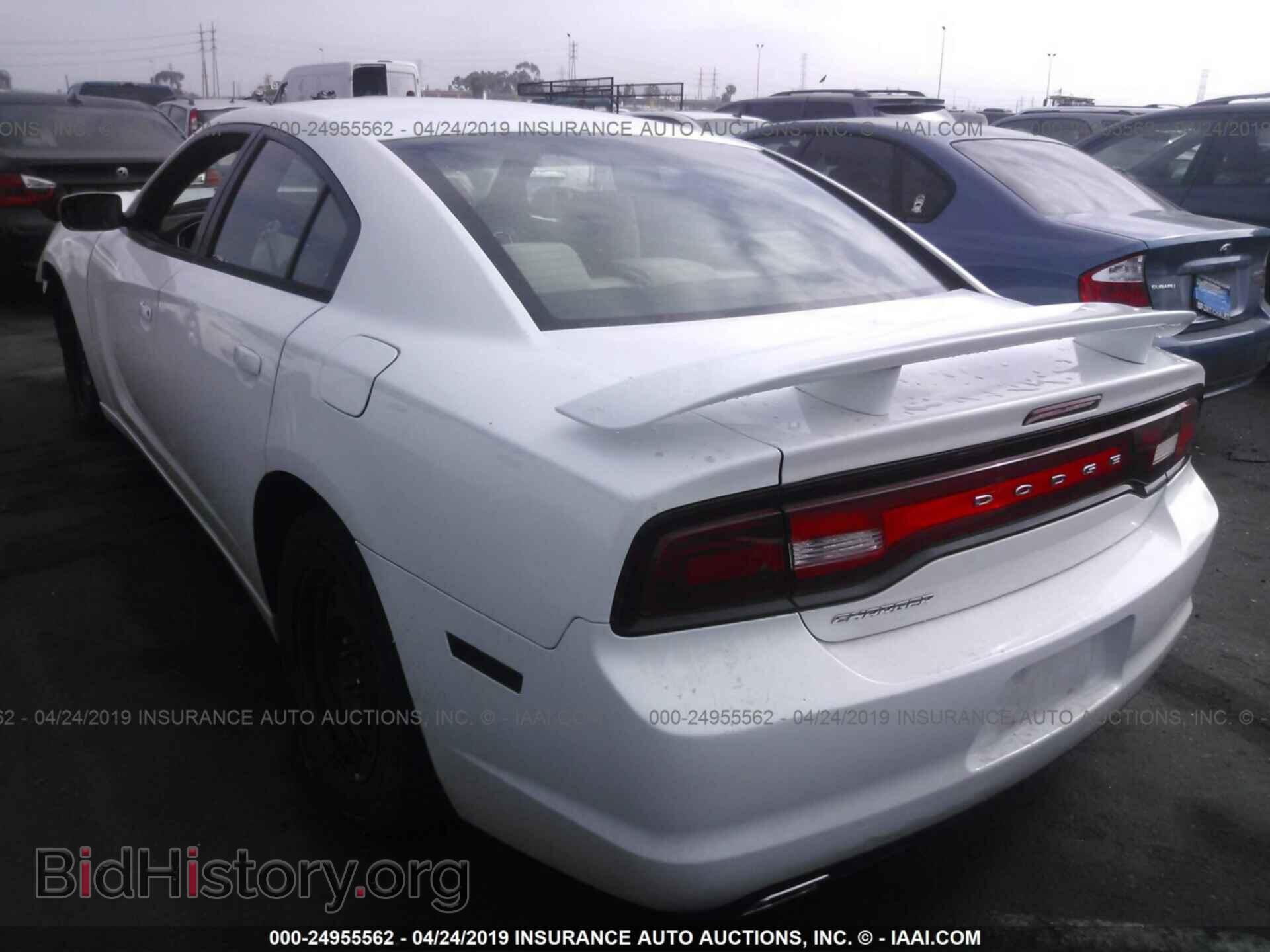 2011 DODGE CHARGER - VIN: 2B3CL3CG7BH518055 - Фото 3