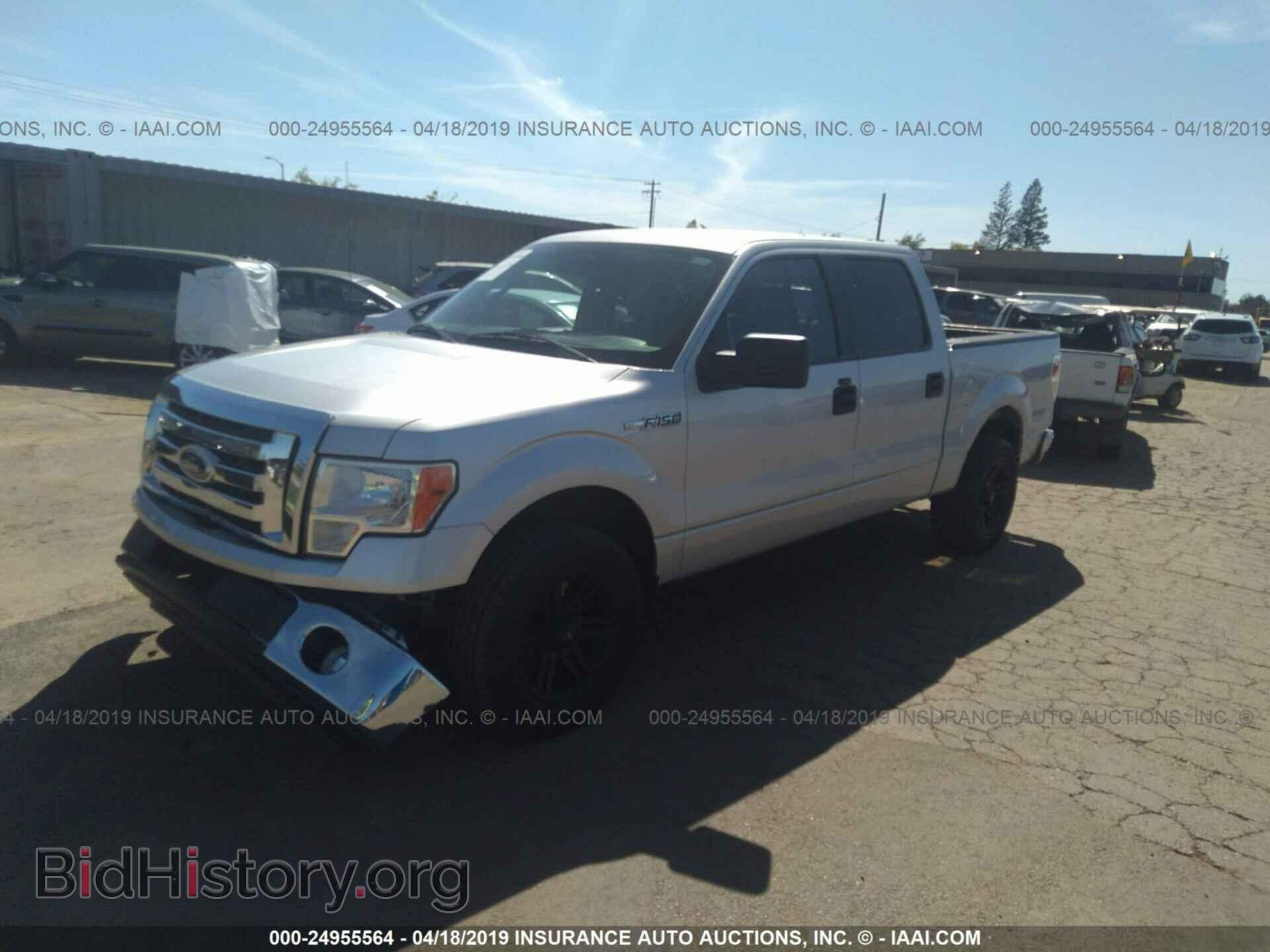 2010 FORD F150 - VIN: 1FTEW1C81AKA83326 - Фото 2