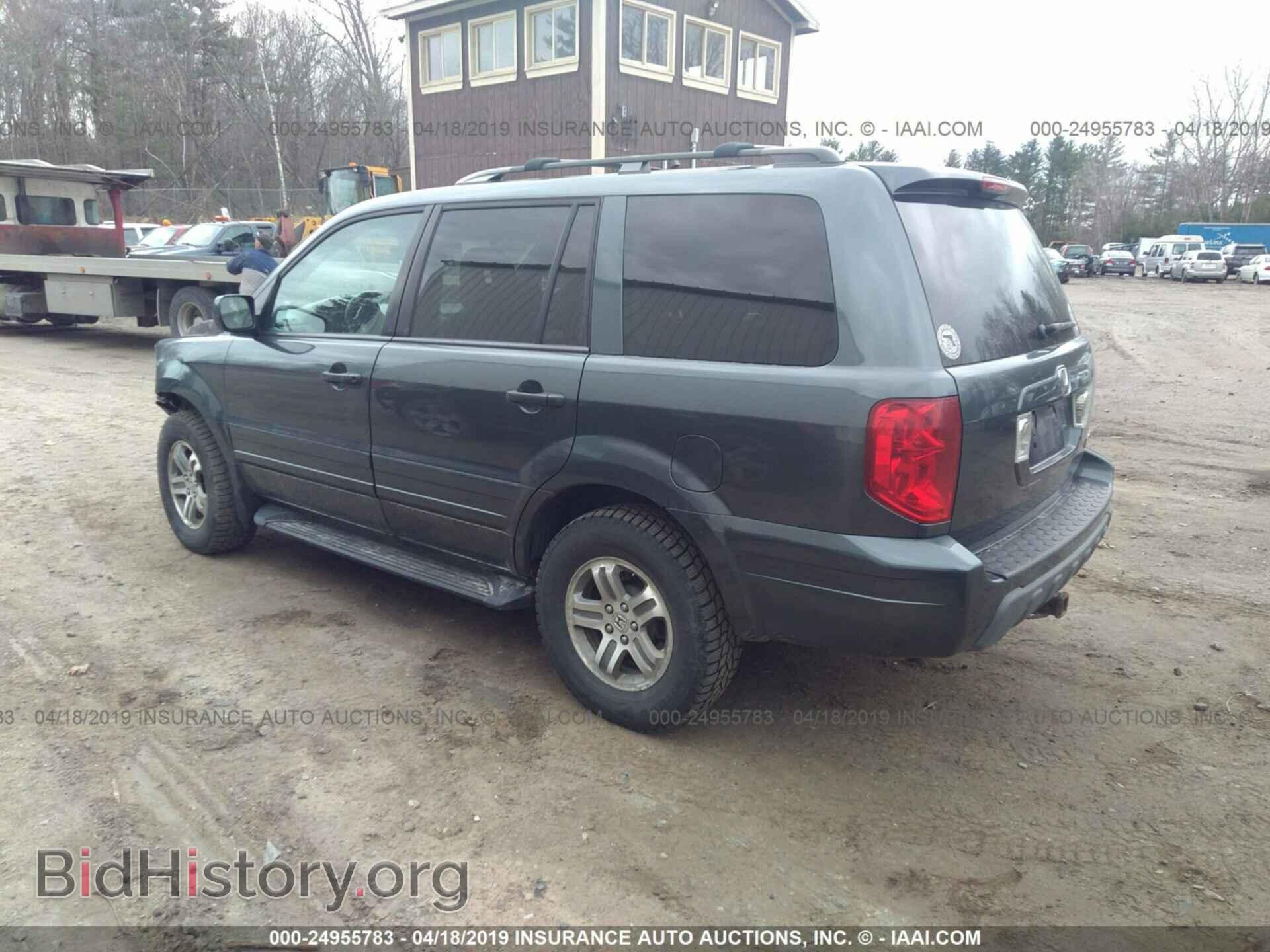 2005 HONDA PILOT - VIN: 5FNYF18555B053325 - Фото 3